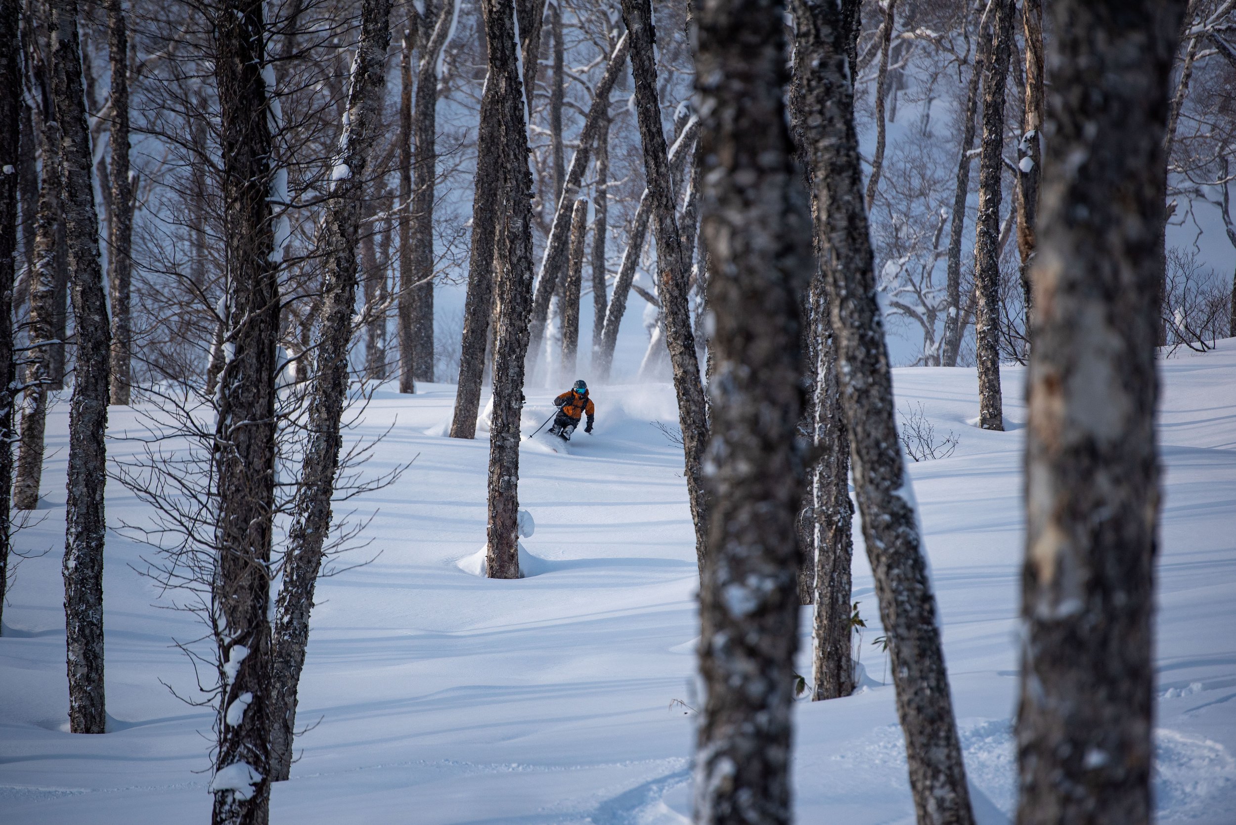 A skier wearing an orange jacket and blue helmet skiing down a snow-covered slope in a dense forest of mostly leafless trees, with snow on the ground and some patches on the tree trunks.