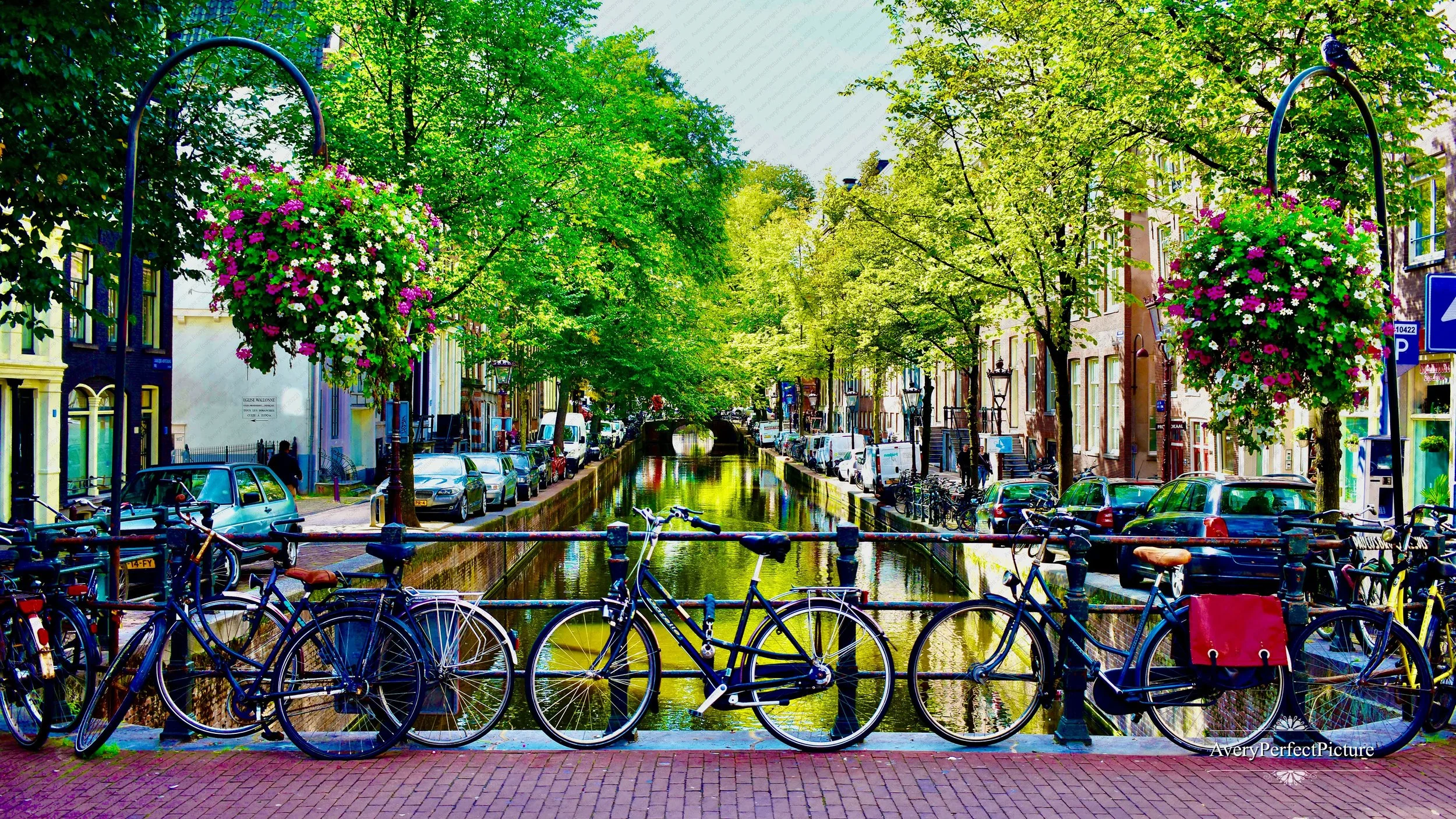 Amsterdam in Bloom (Med) DSC_4139 (32x16.jpeg