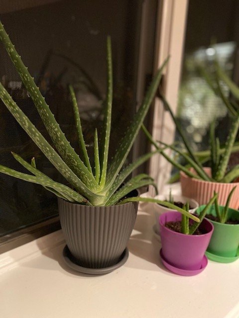 https://i.etsystatic.com/38018647/r/il/af43b4/4273237681/il_fullxfull.4273237681_ezqr.jpg
