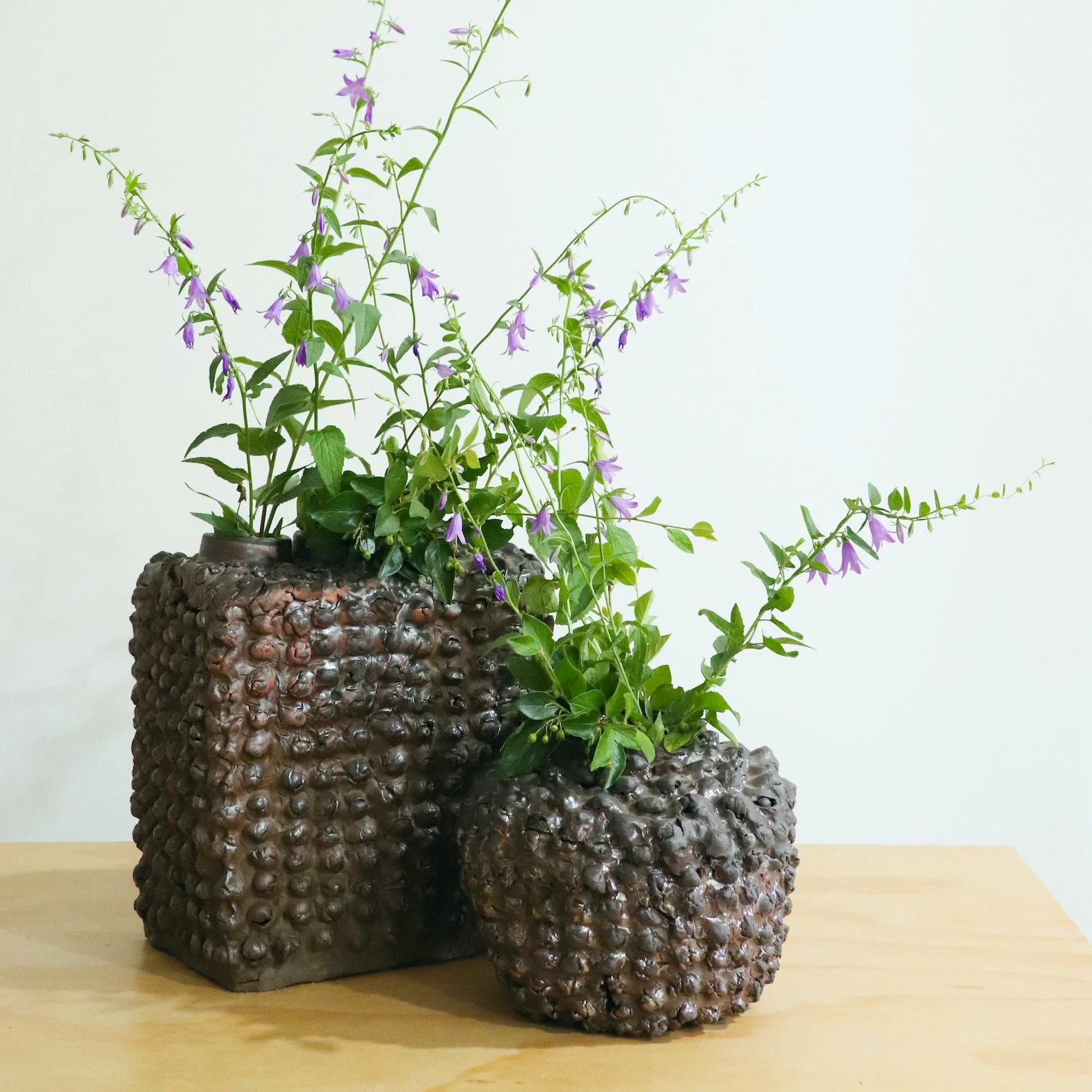 Till_Robyn_06 copy.jpg