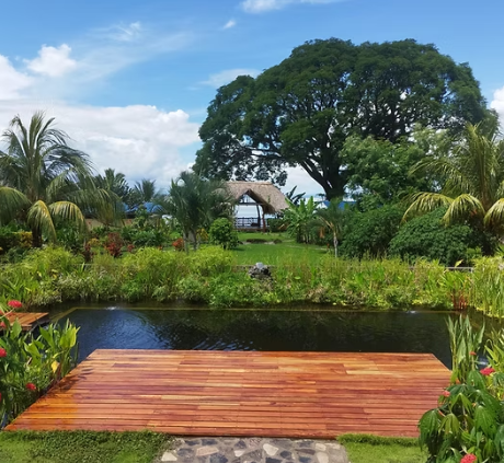 Screenshot 2026-02-02 2.49.33 PM.png