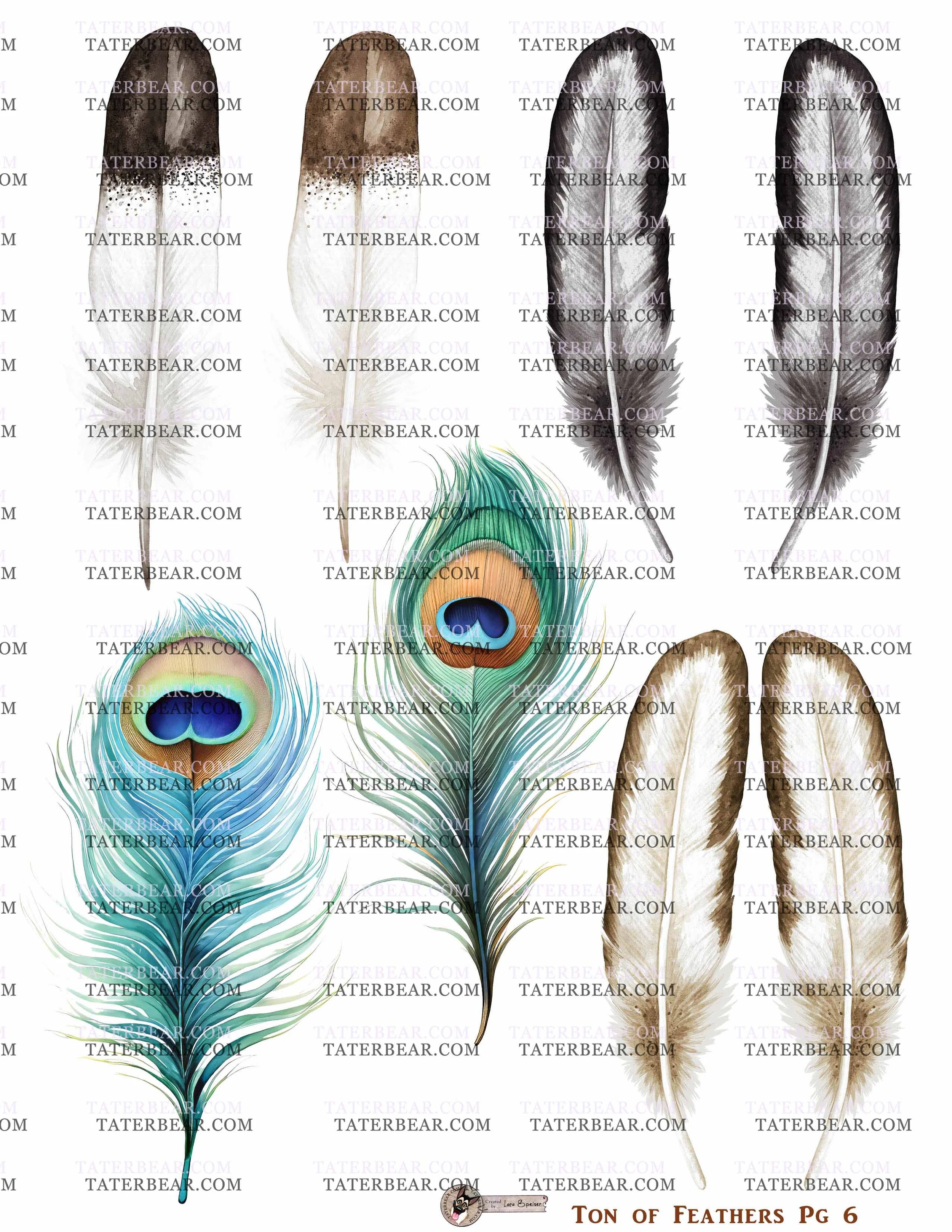 TaterBear_TonOfFeathersPg6.jpg