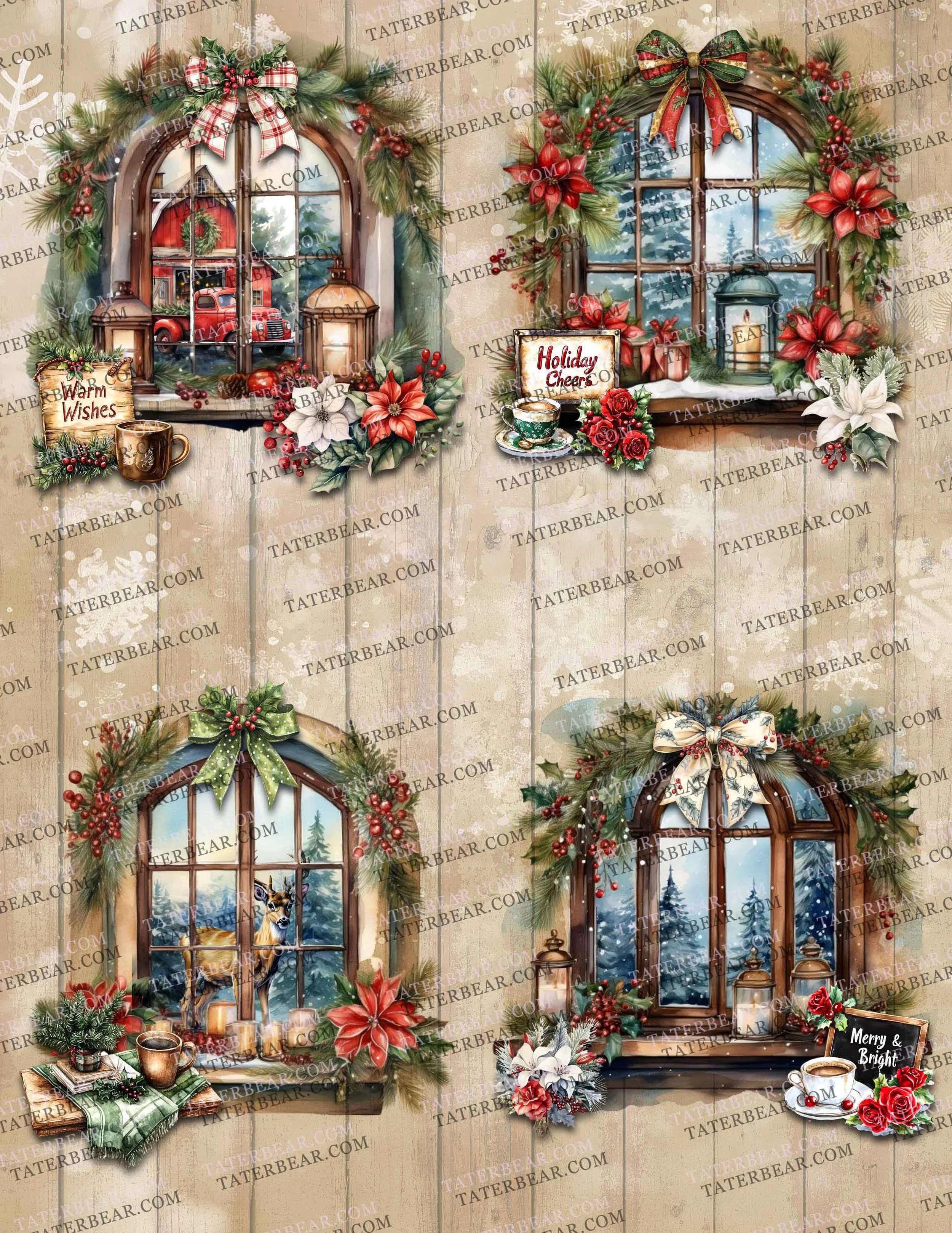 TaterBear_Wonderland Windows2.jpg