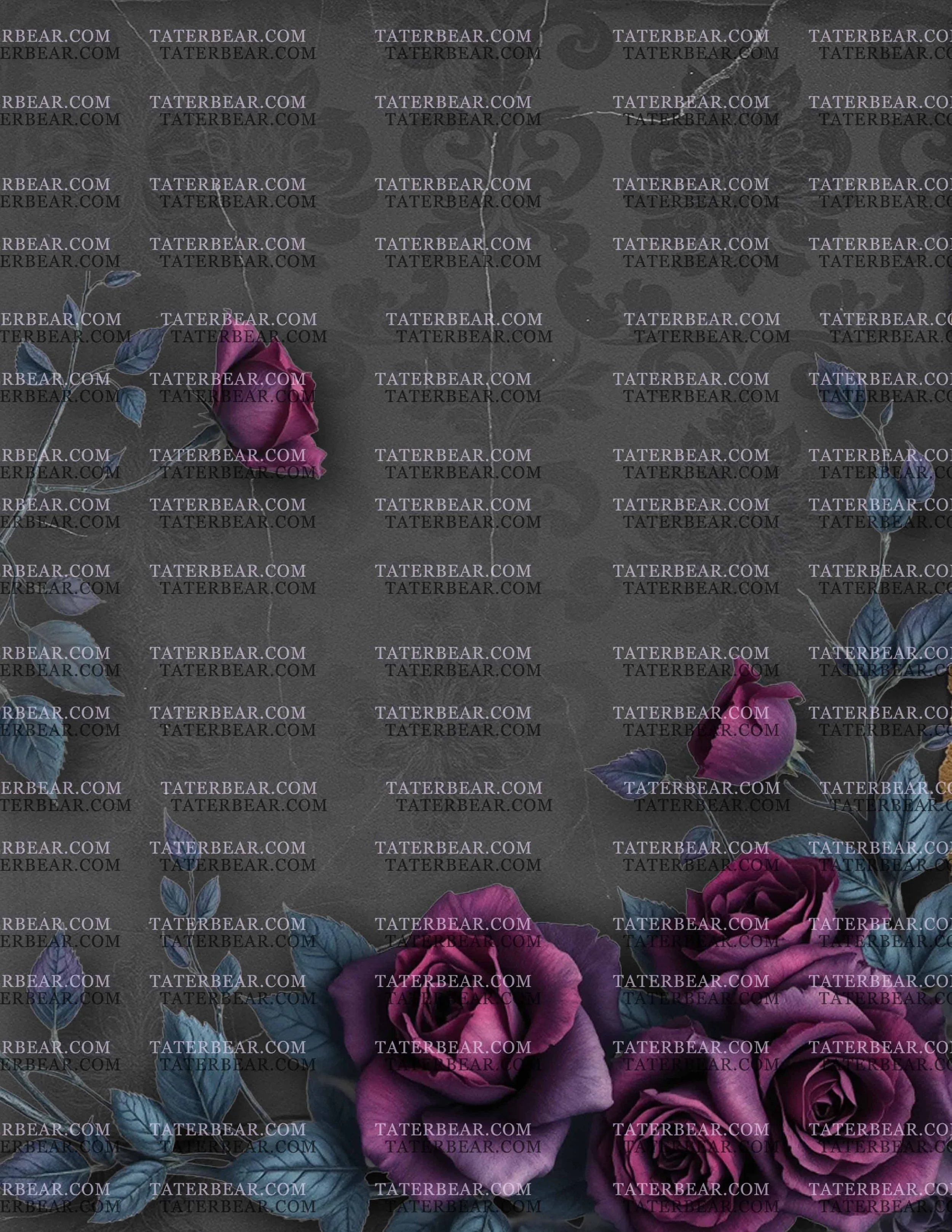 TaterBear_DarkBeauty1 (7).jpg