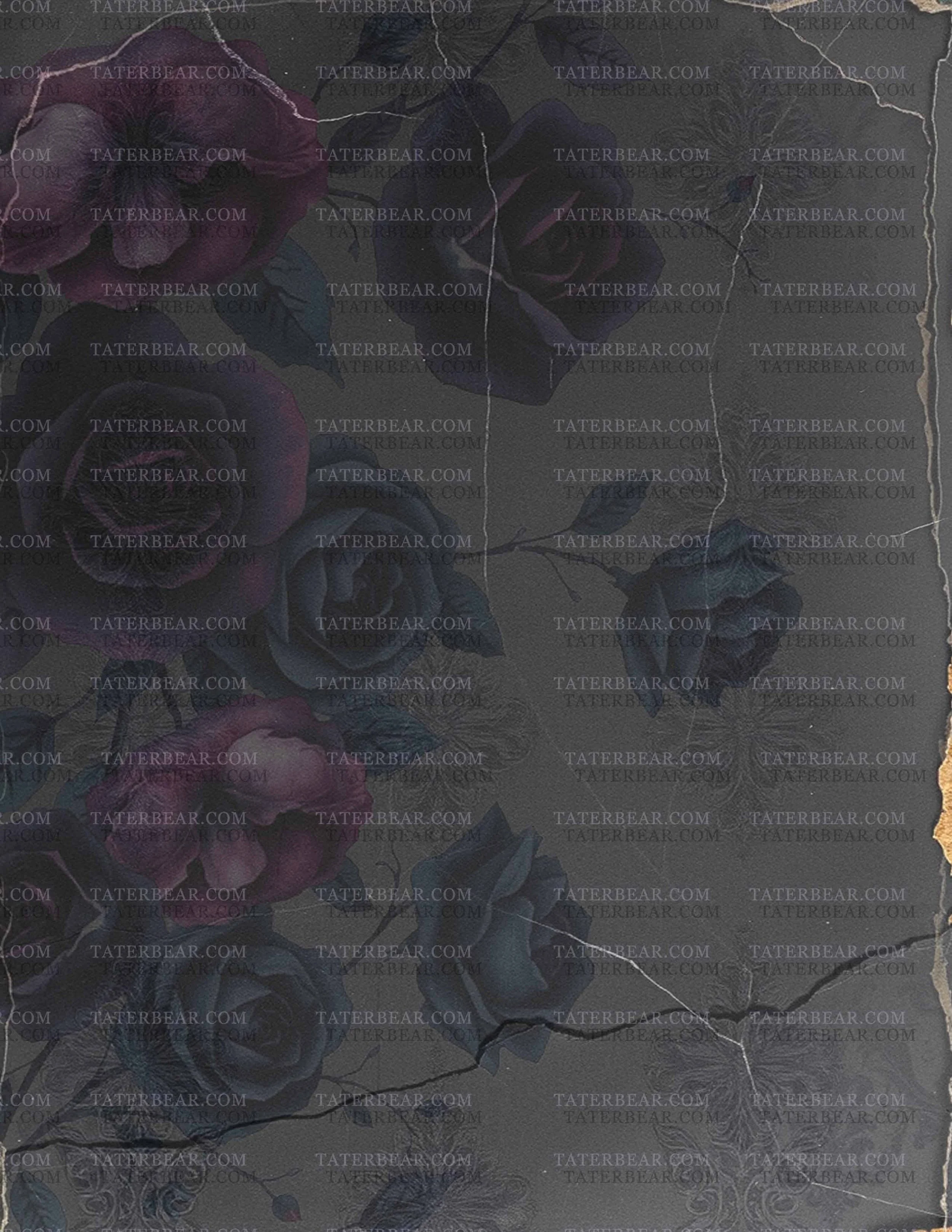 TaterBear_DarkBeauty1 (6).jpg