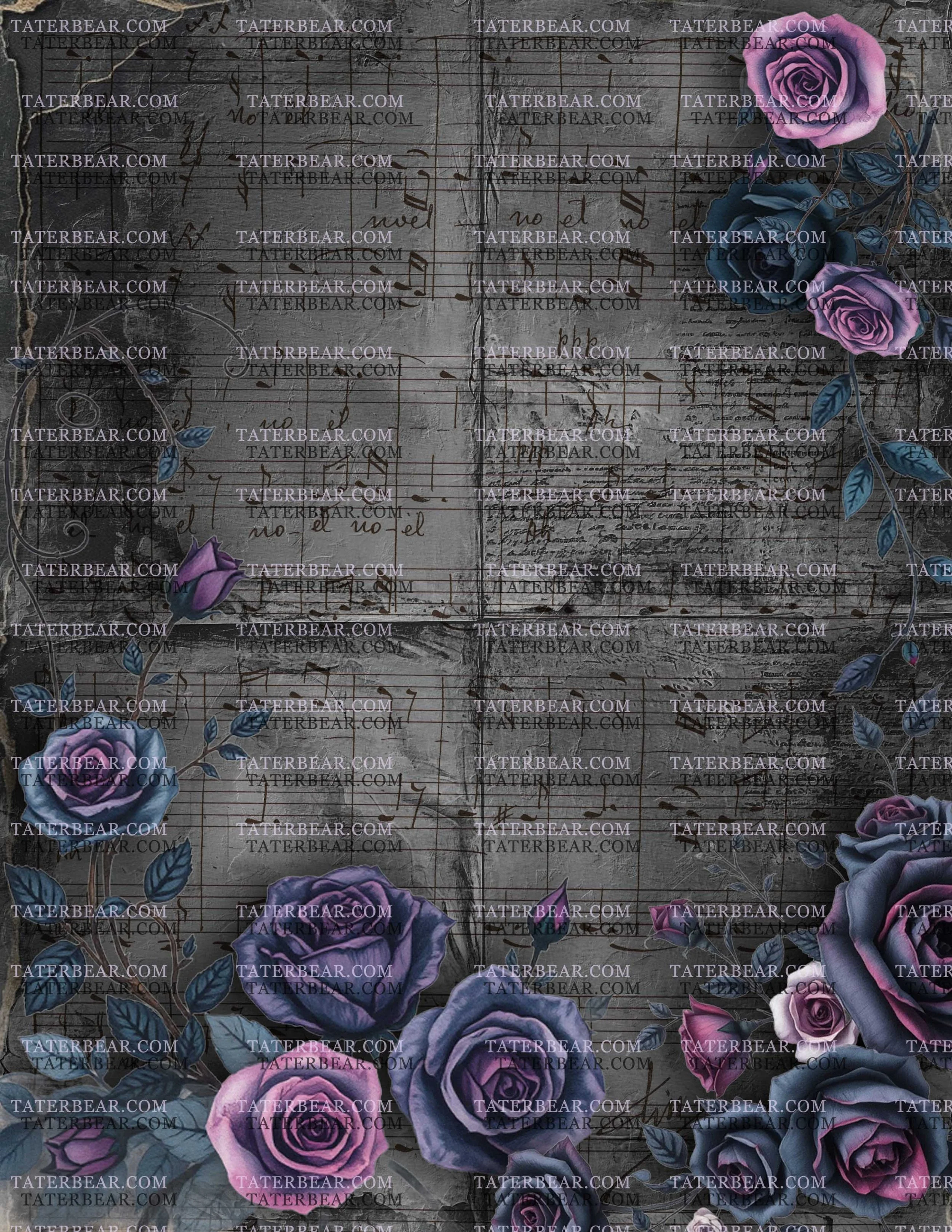 TaterBear_DarkBeauty1 (8).jpg