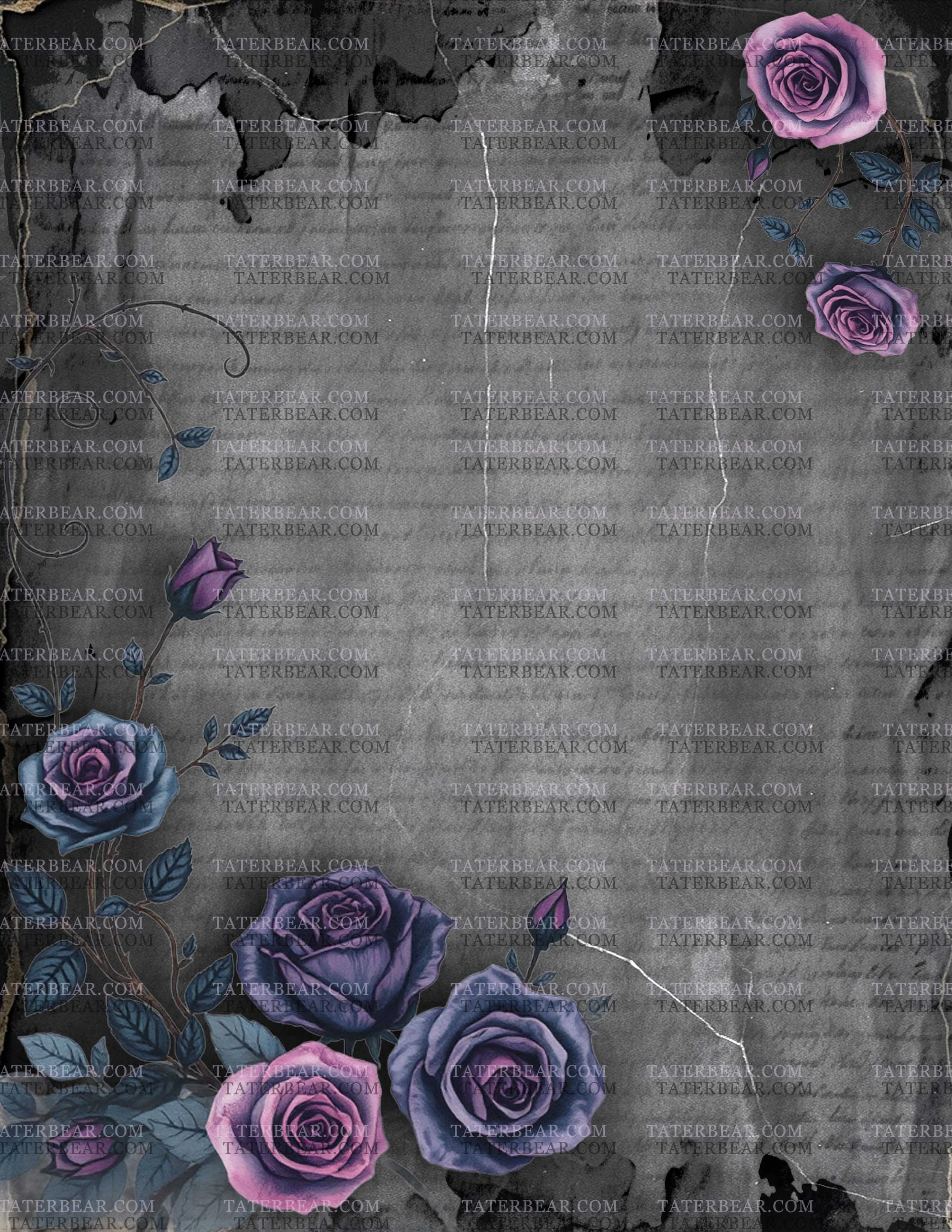 TaterBear_DarkBeauty1 (5).jpg