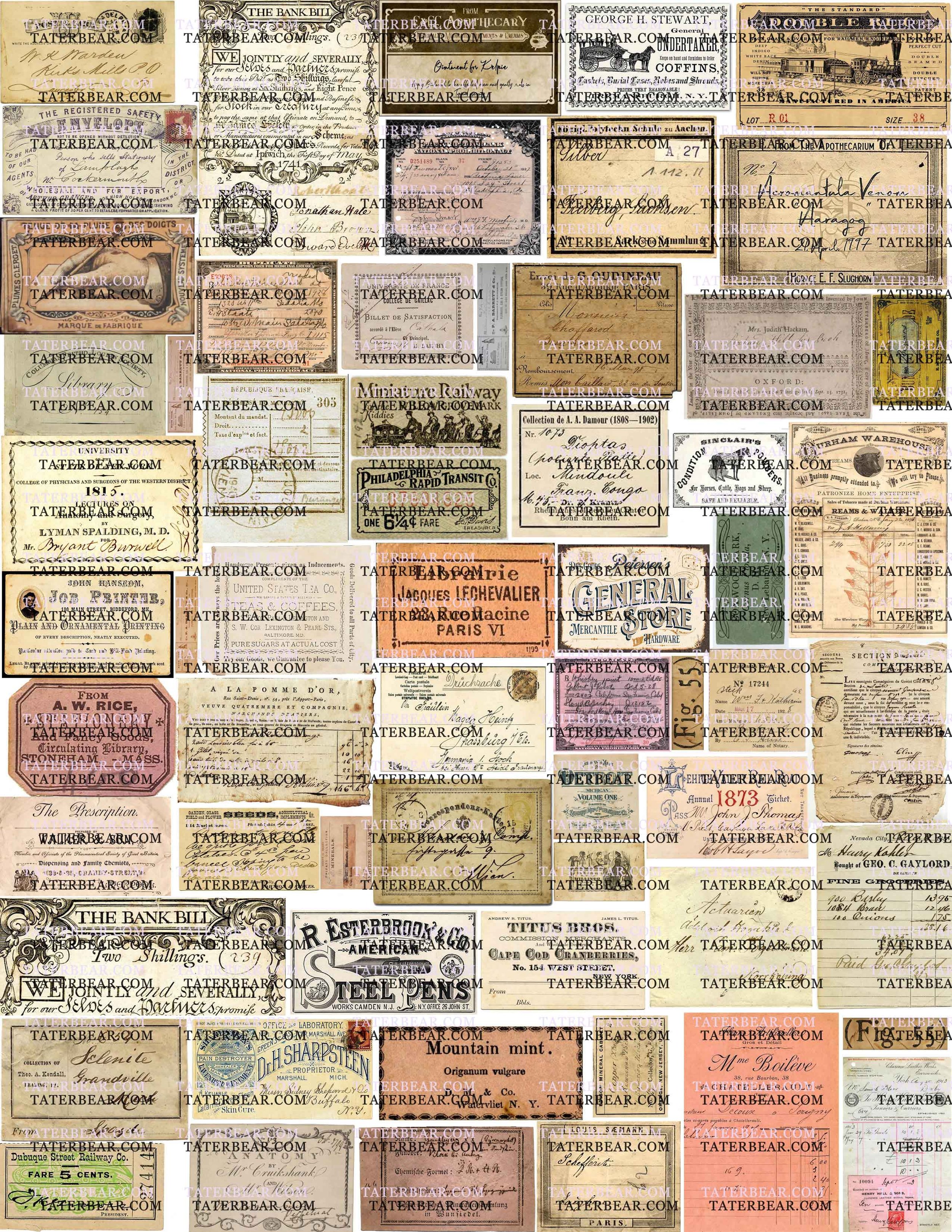 TaterBear_AssortedAdvertisementLabels.jpg