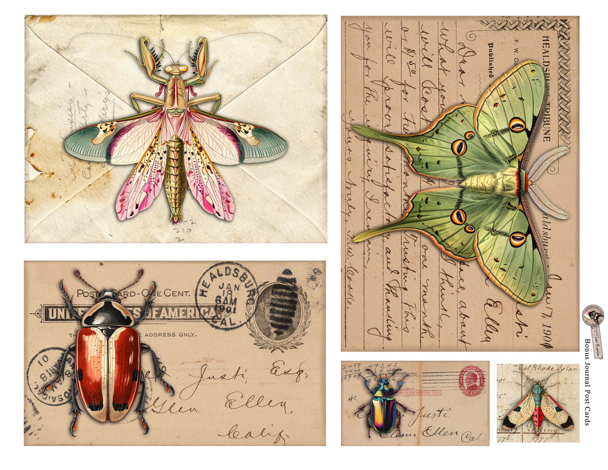 BonusInsectCards.jpg