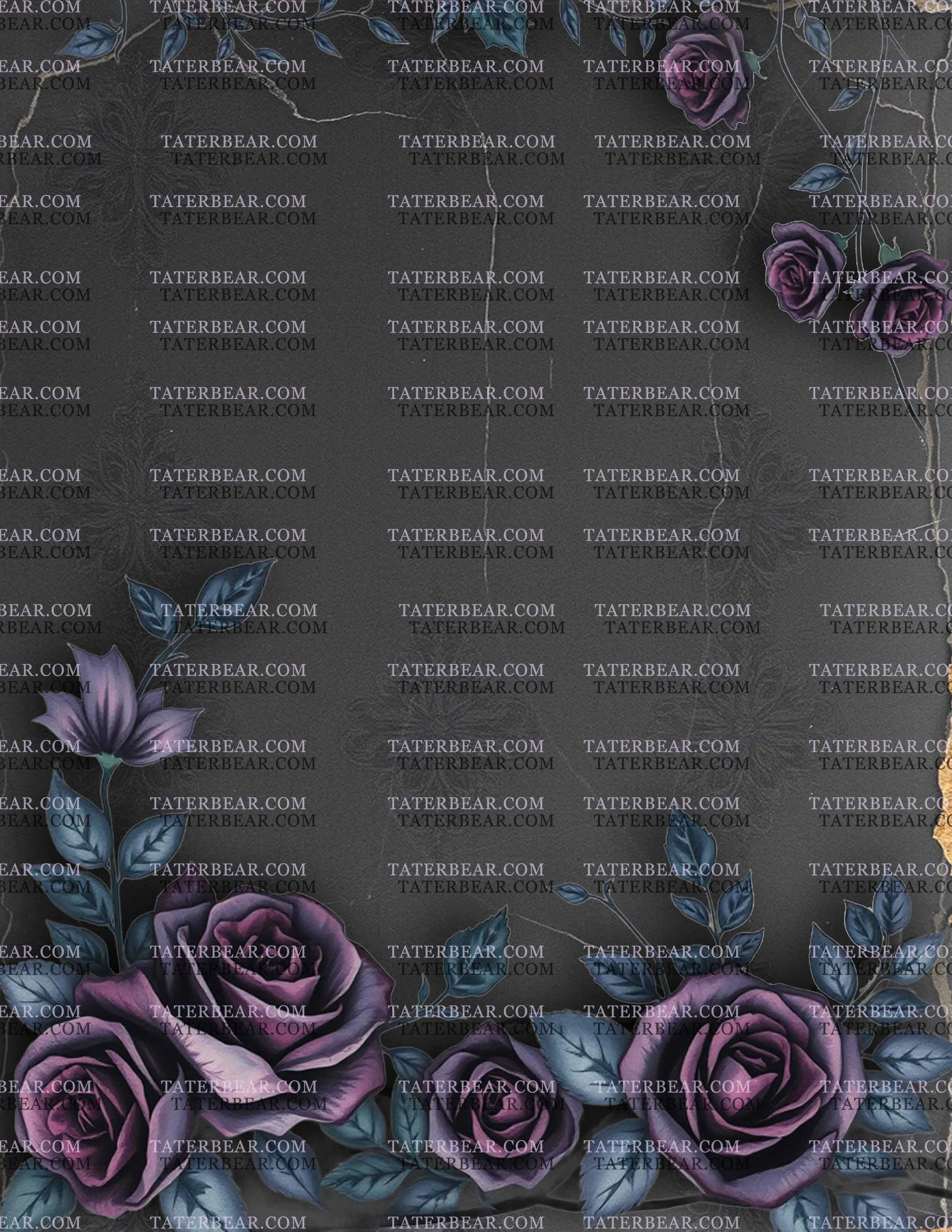 TaterBear_DarkBeauty1 (3).jpg