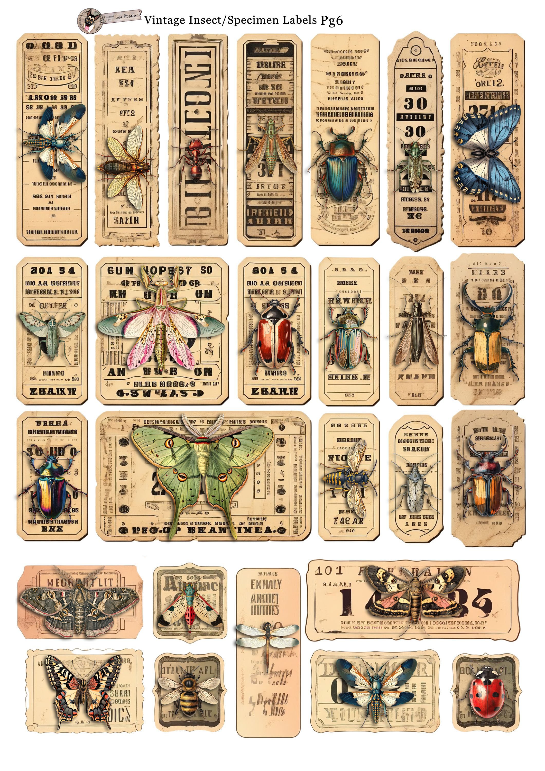 numbers_BugsLabelsPg6.jpg