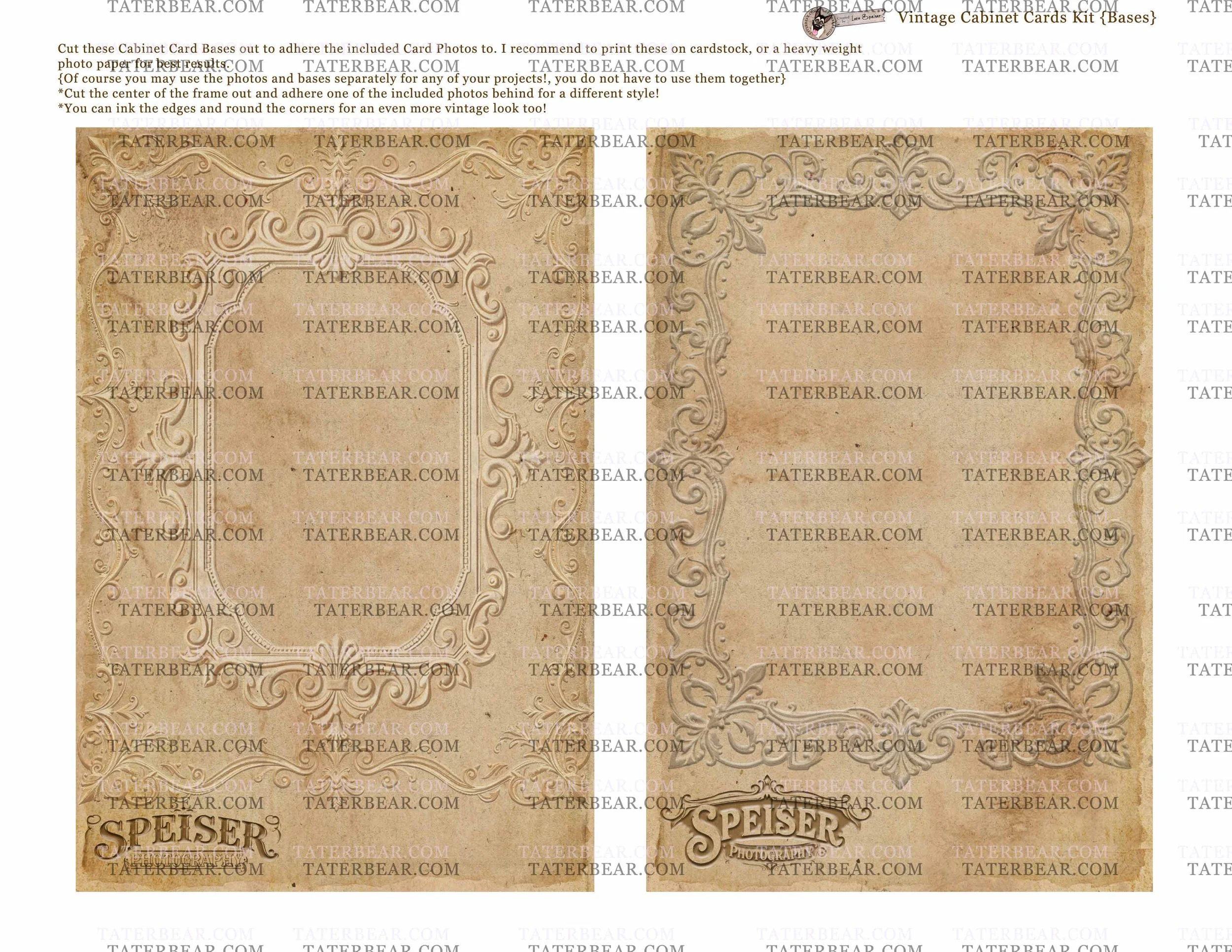 TaterBear_CabinetCardsBases.jpg