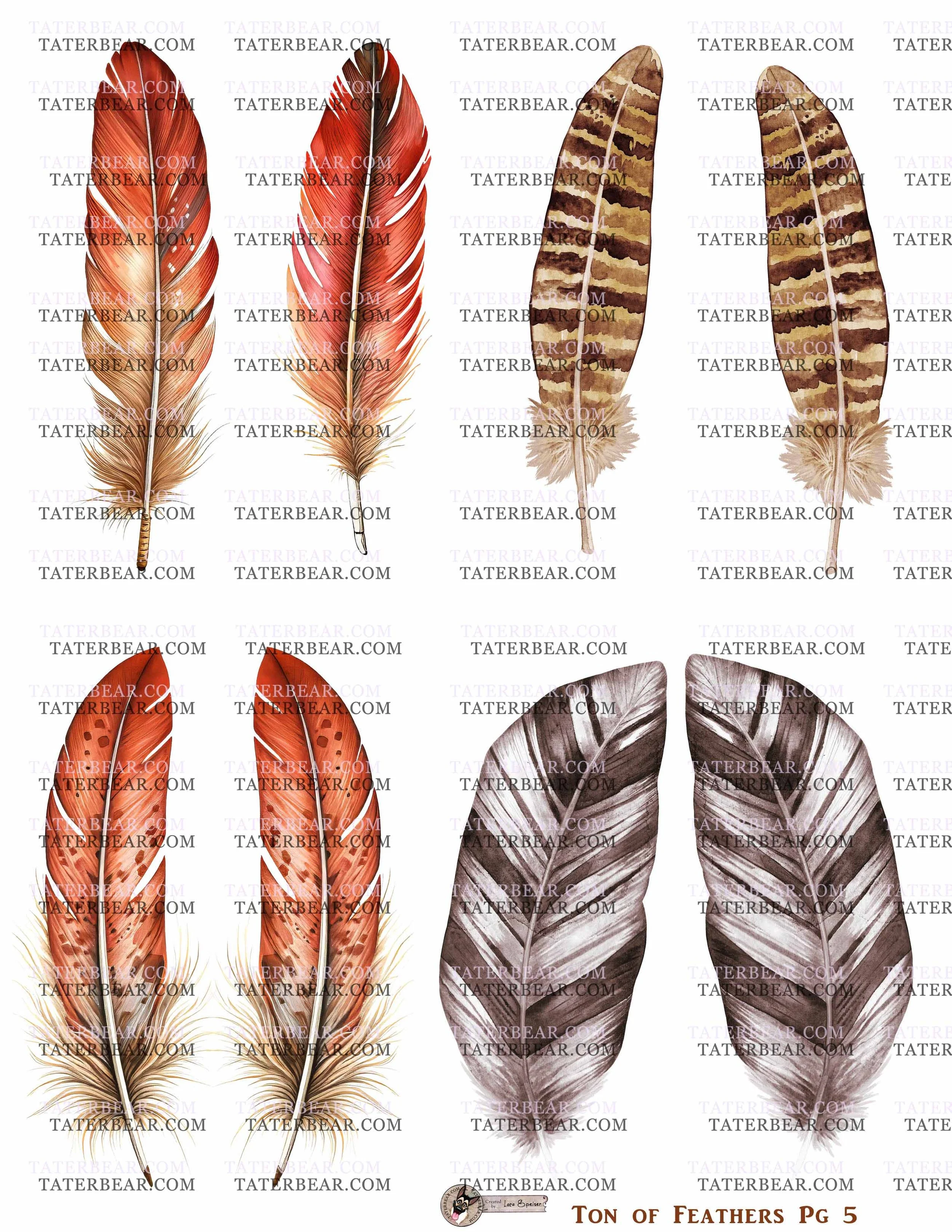 TaterBear_TonOfFeathersPg5.jpg