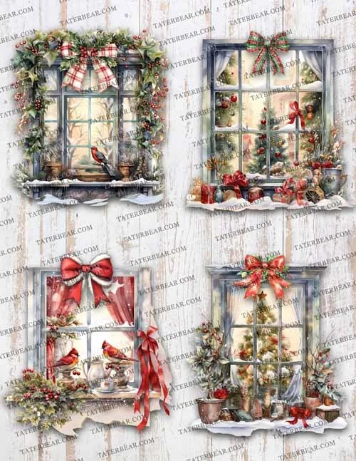 TaterBear_Wonderland Windows.jpg