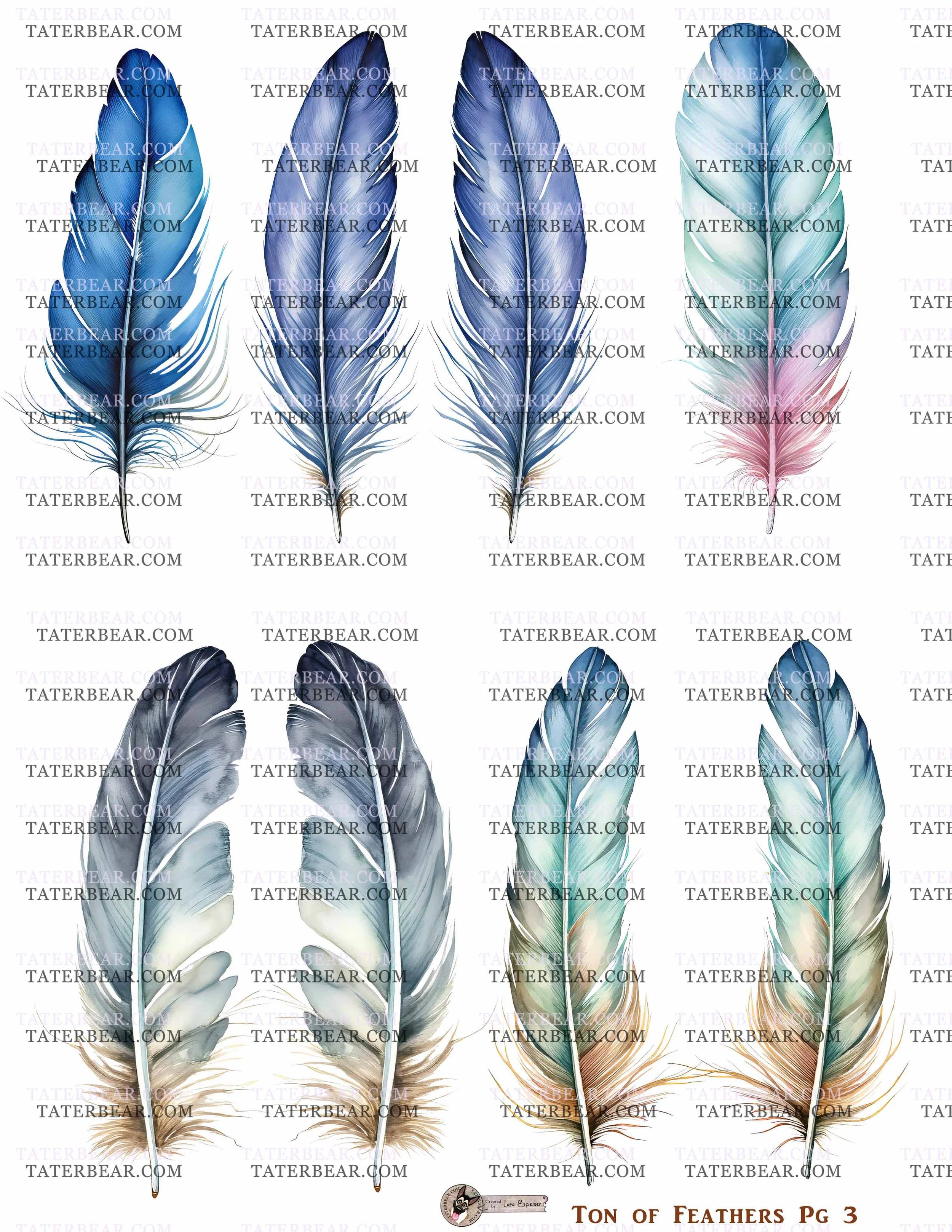 TaterBear_TonOfFeathersPg3.jpg