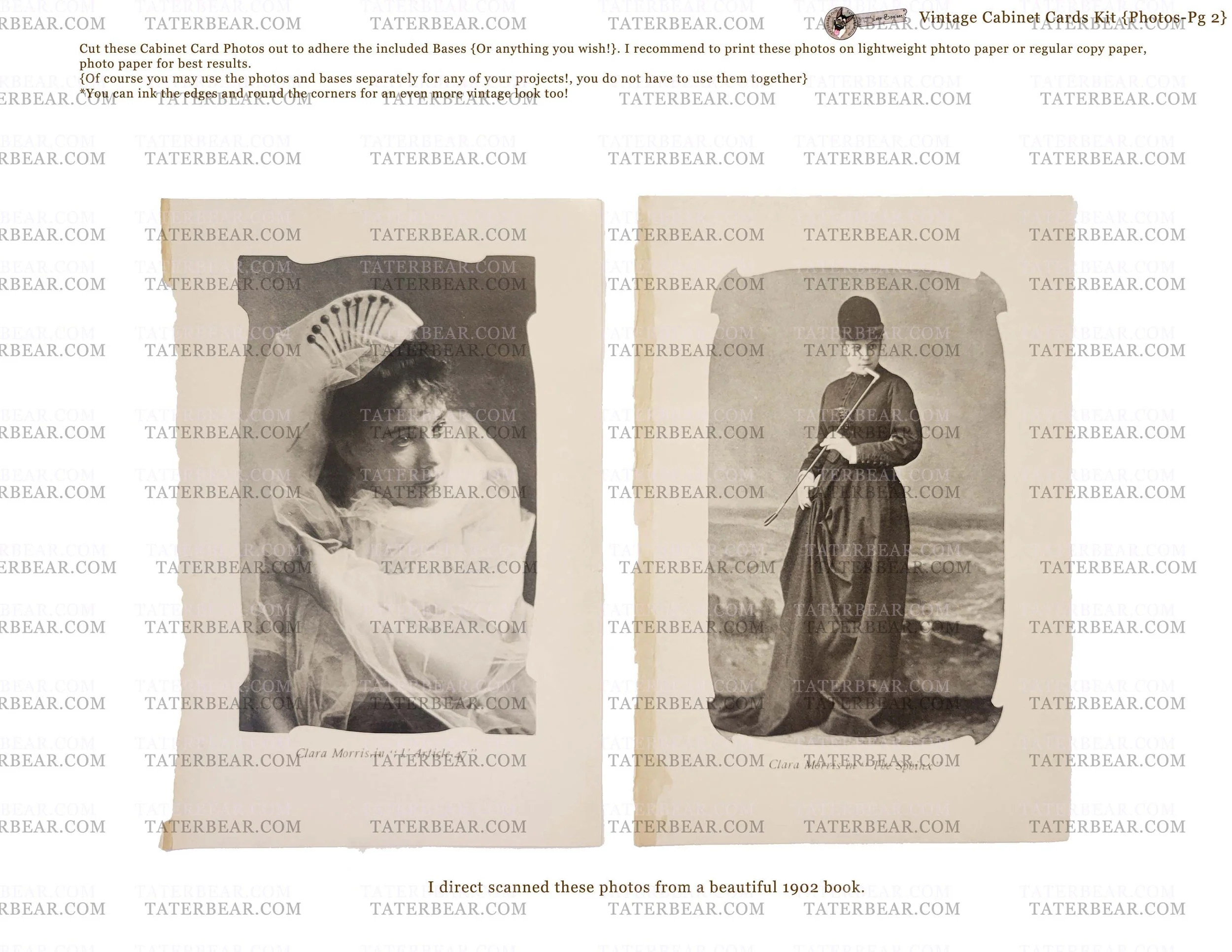 TaterBear_CabinetCardsPhotosPg2.jpg