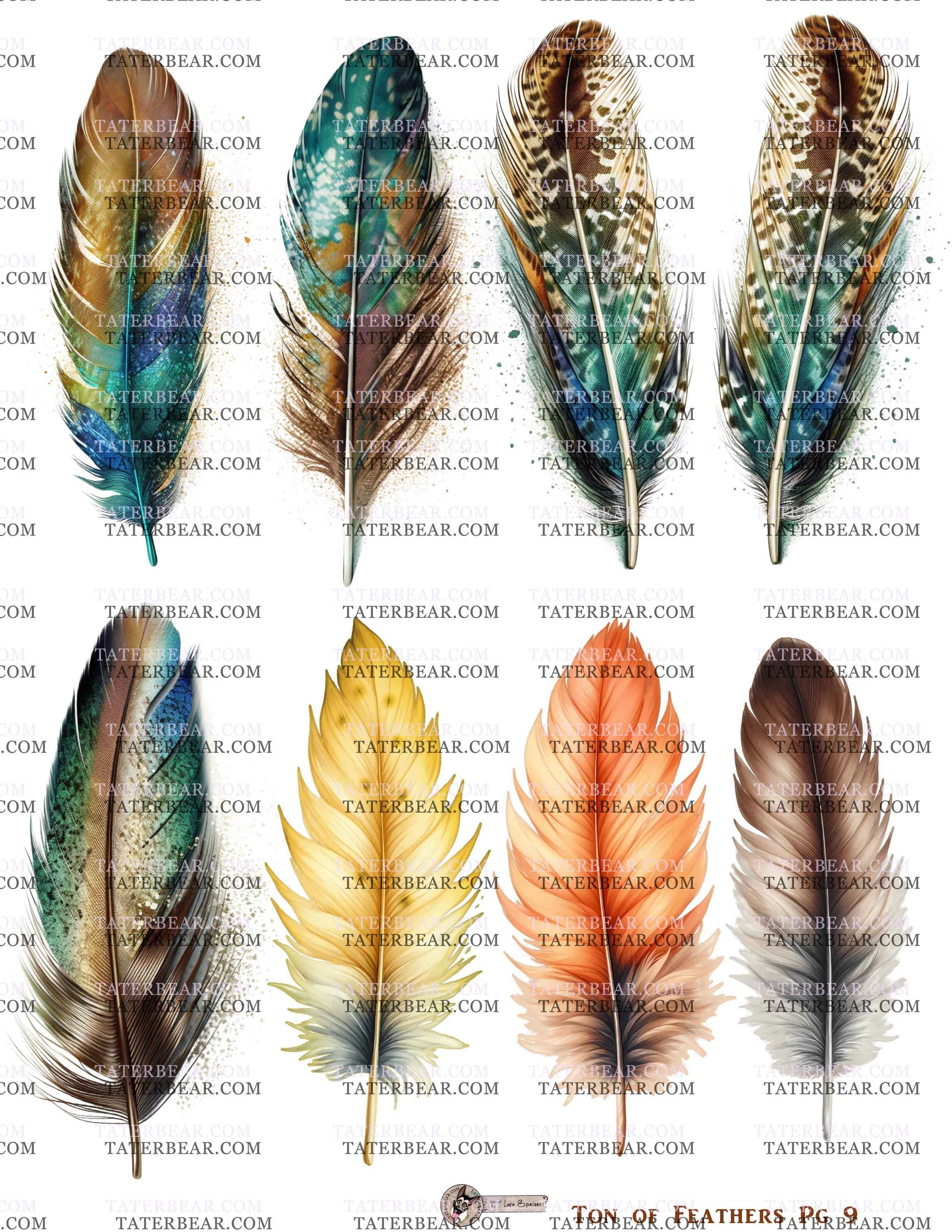 TaterBear_TonOfFeathersPg9.jpg