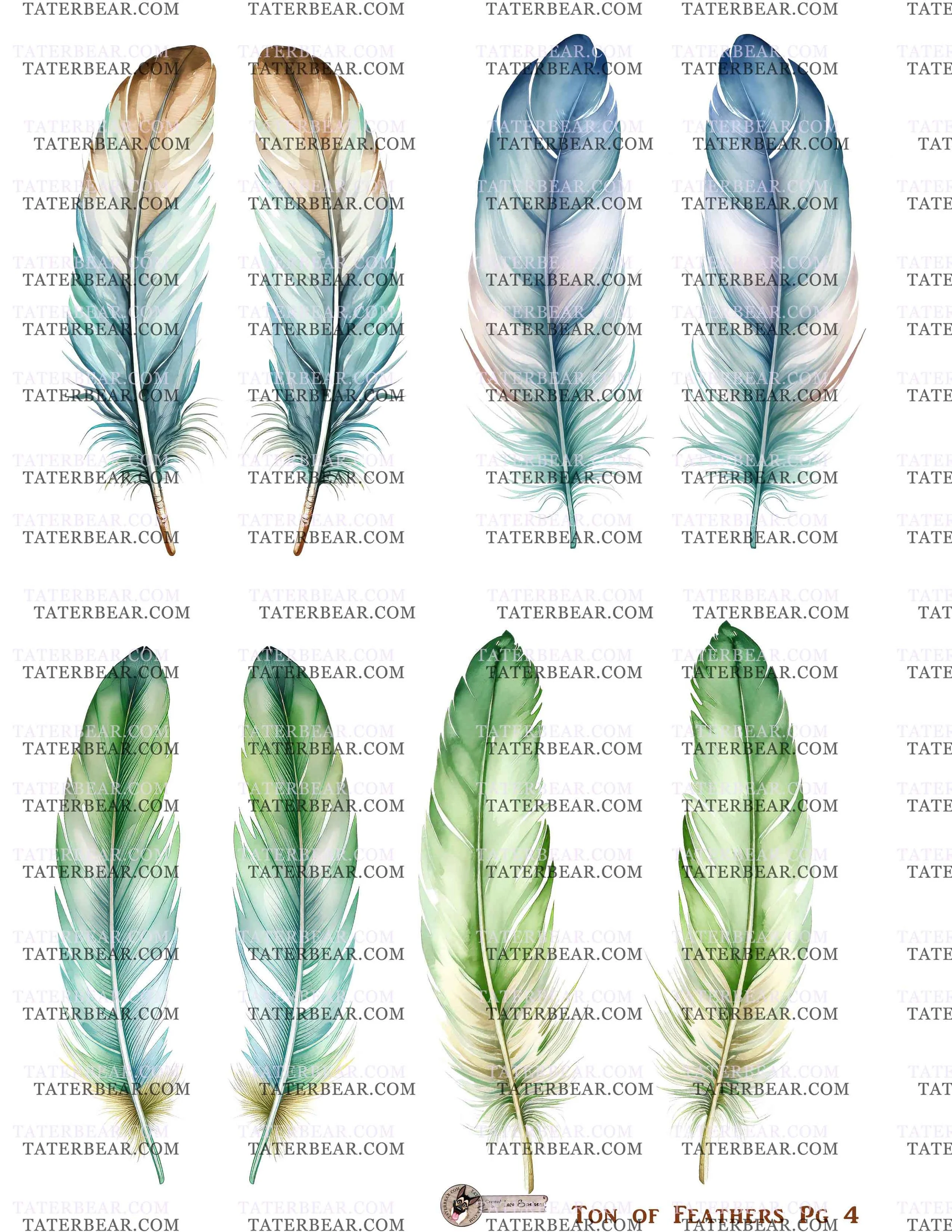 TaterBear_TonOfFeathersPg4.jpg