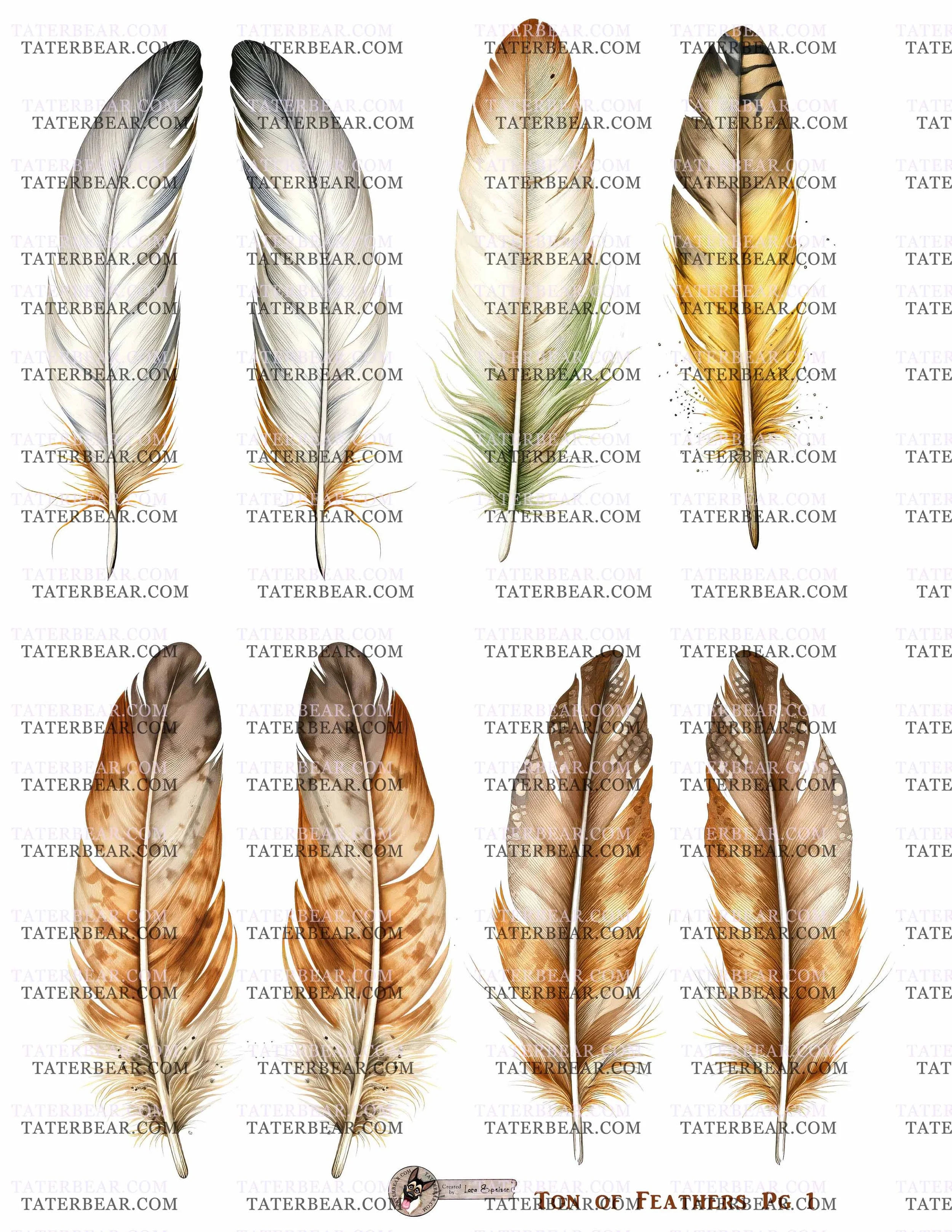 TaterBear_TonOfFeathersPg1.jpg