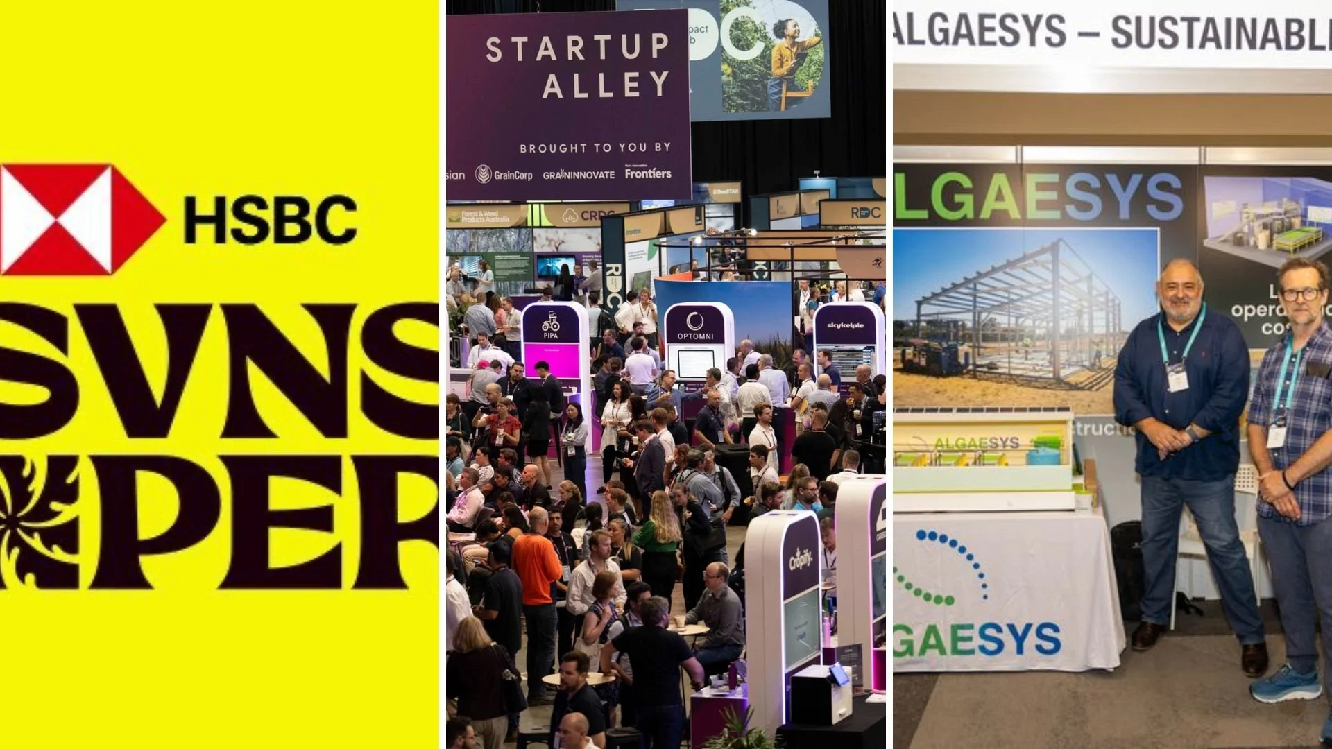 February Frenzy: What’s coming up