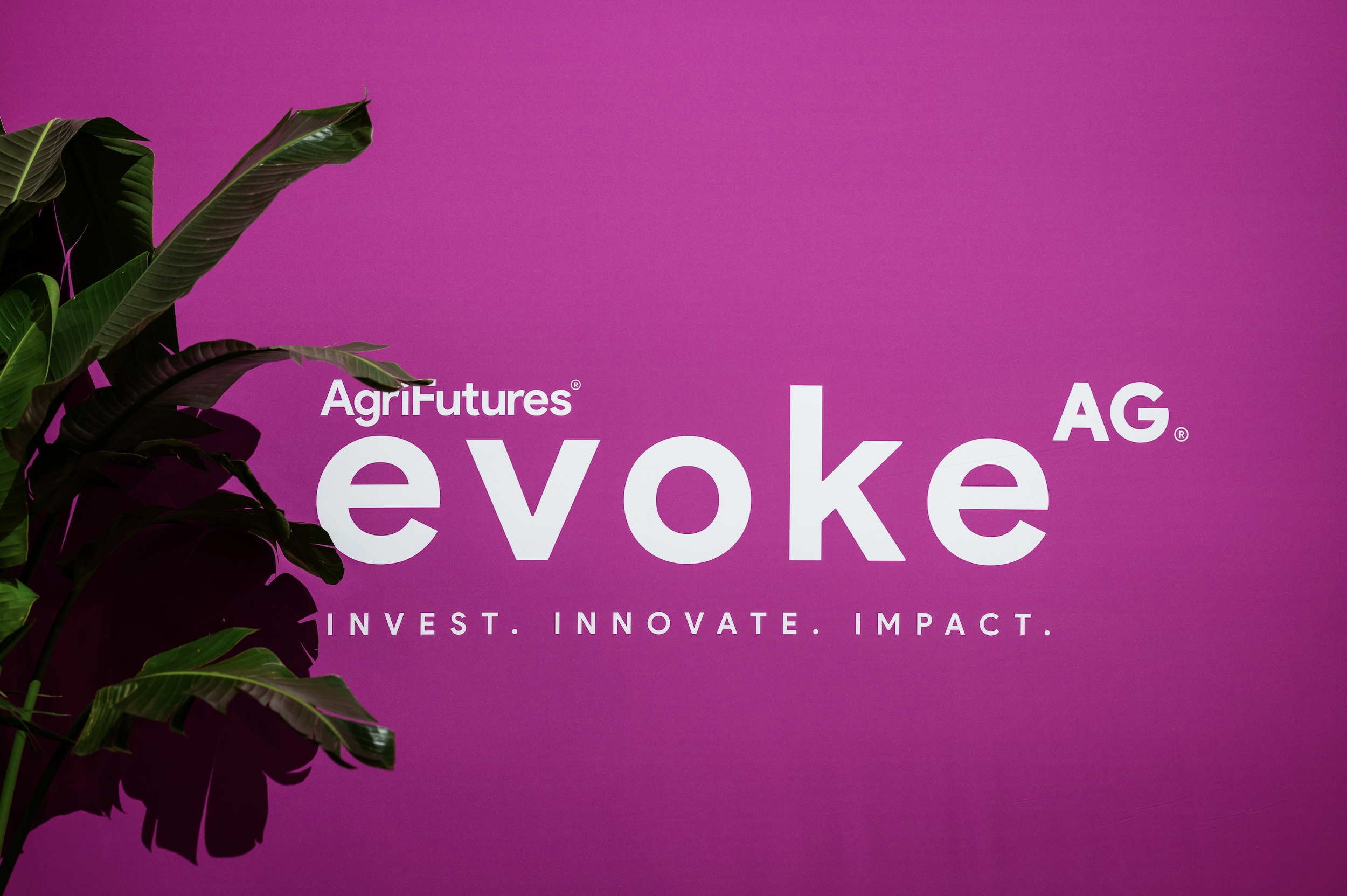 Screenshot 2026-03-16 at 17.03.04.png