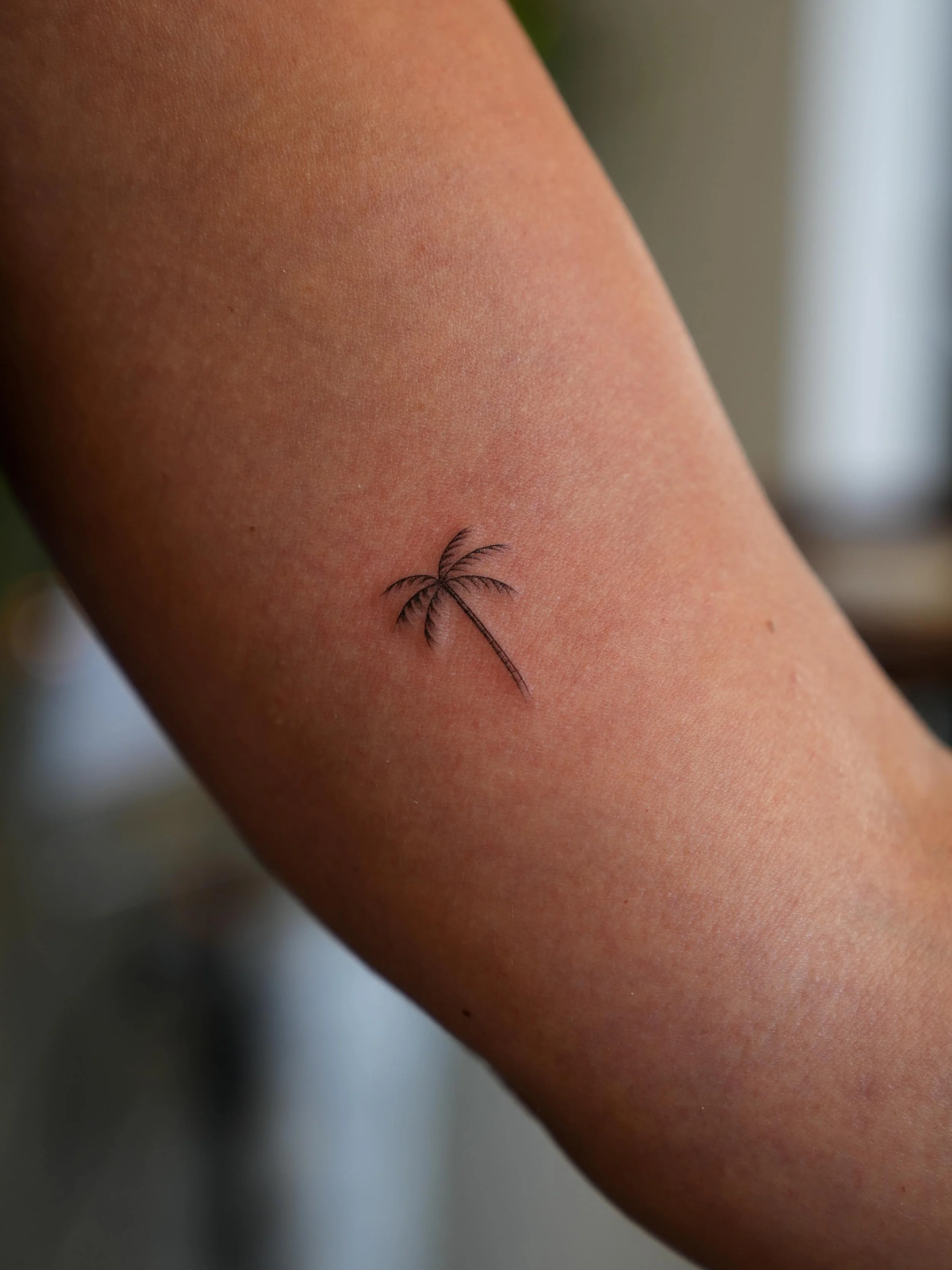Summer&rsquo;s almost here! now&rsquo;s the perfect time to get your tattoos so they&rsquo;re fully healed and ready to show off!
Book your appointment now.

#sandiegofinelinetattooartist #sandiegofinelinetattoo #finelinetattoo #sandiego #sandiegoliv