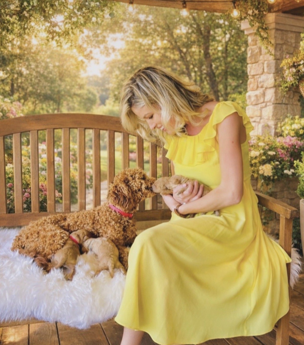 Beautiful woman in yellow dress sitting on bench with puppies and a dog, next to a potted plant.