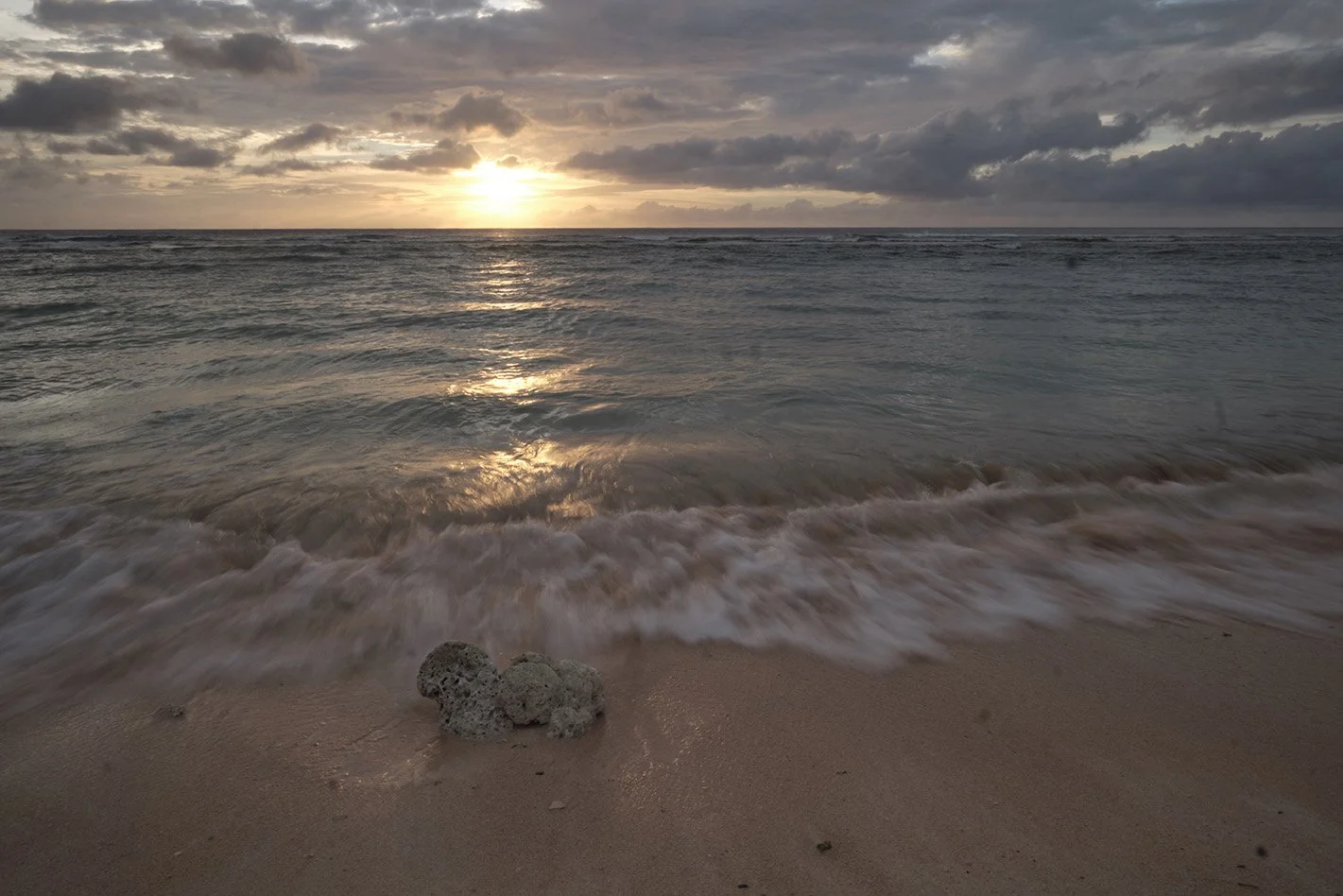 20190405_X-Pro2_DSCF9314_edit_web.jpg