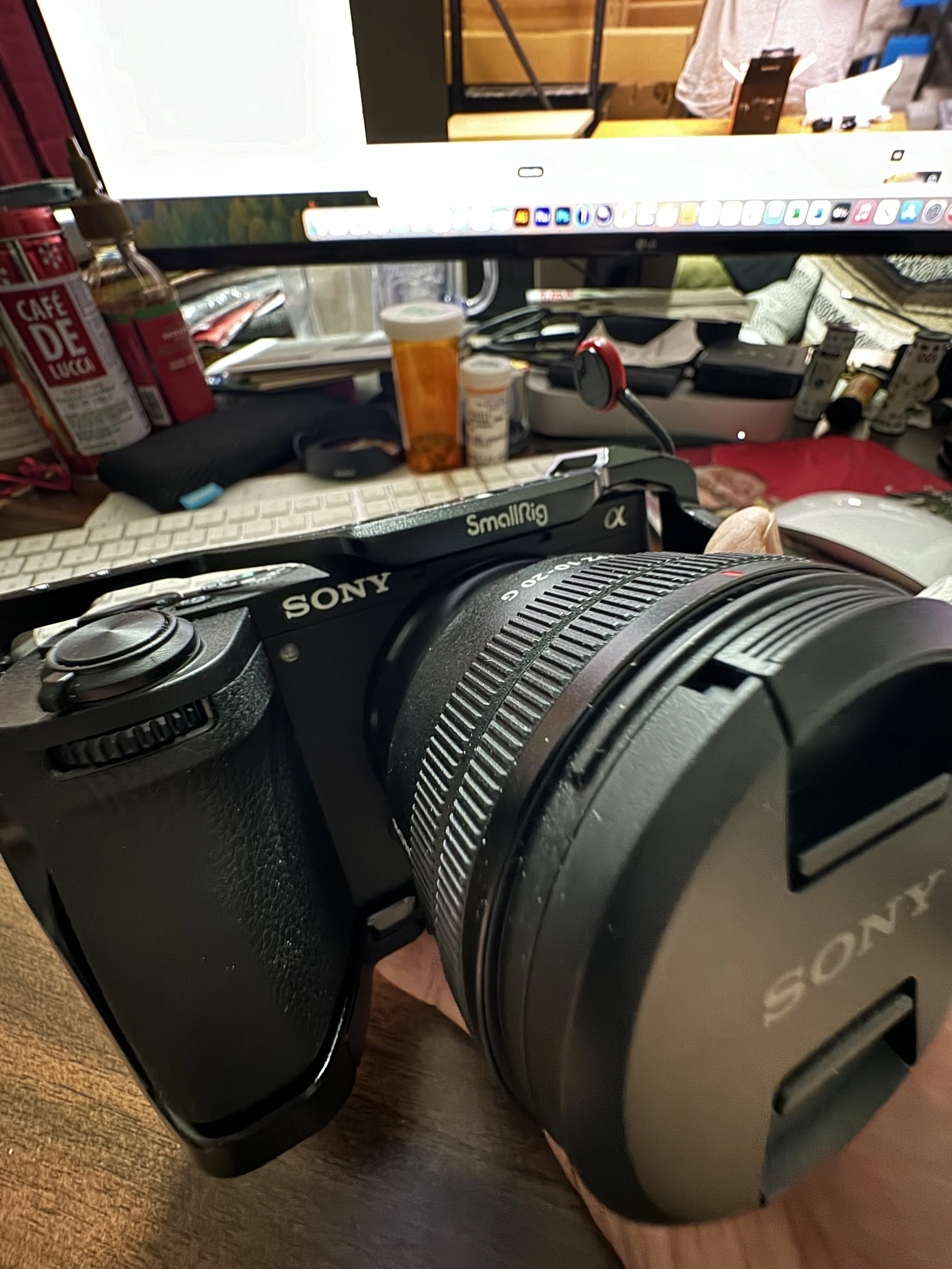 IMG_7781.jpeg