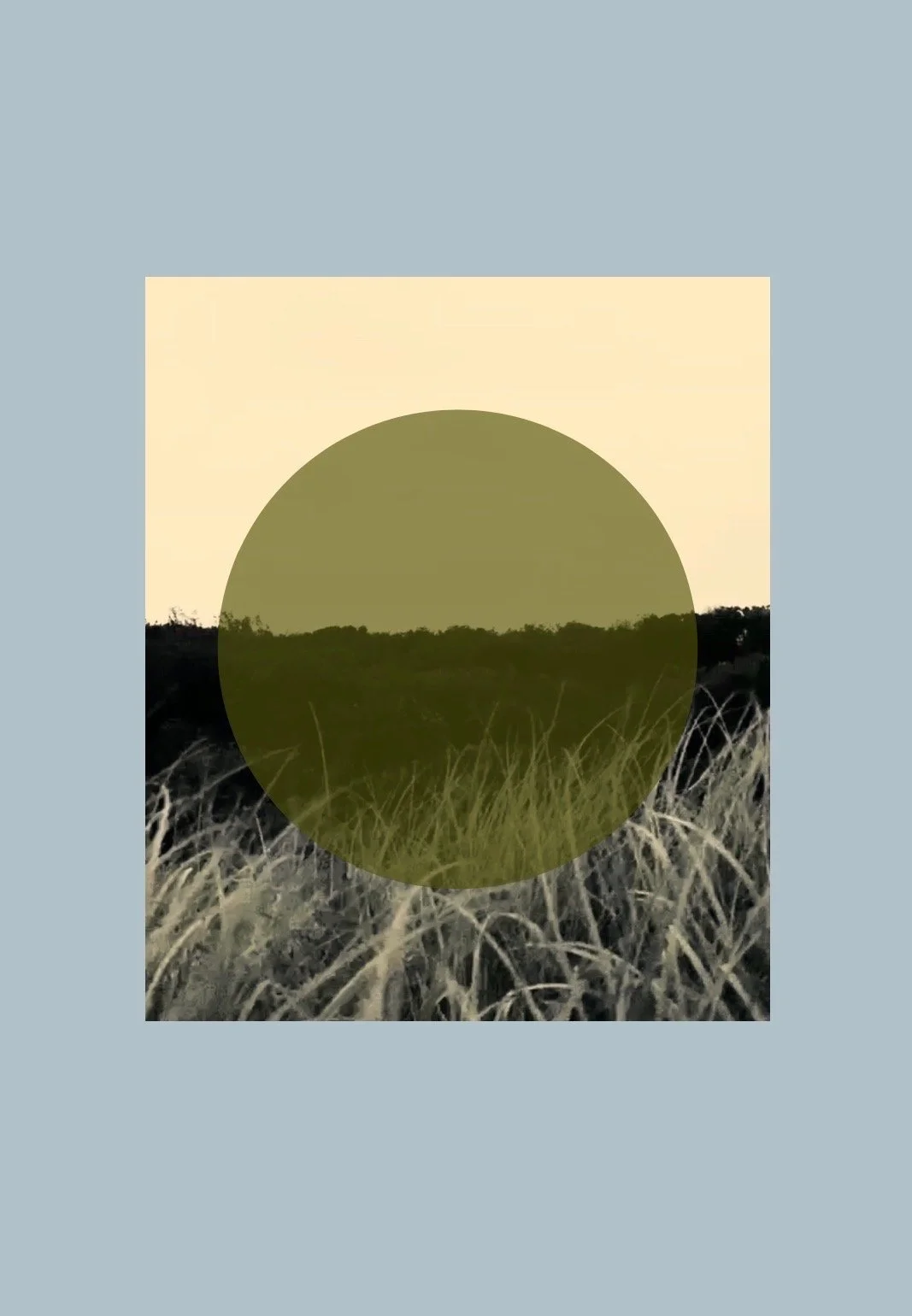 earth centred law.JPG