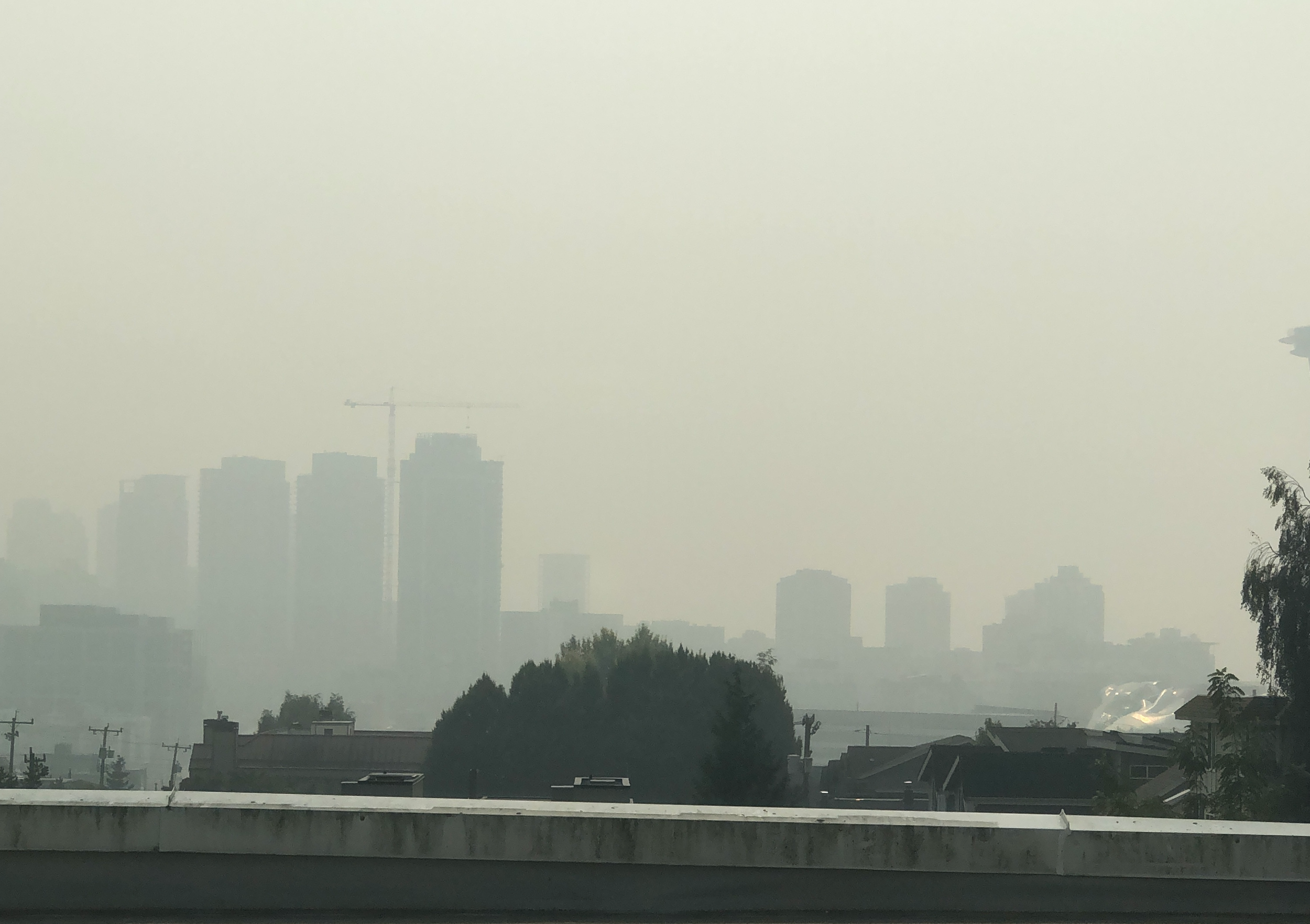 Protecting Skin from Environmental Pollution with Essential Oil Plant-Based Solutions