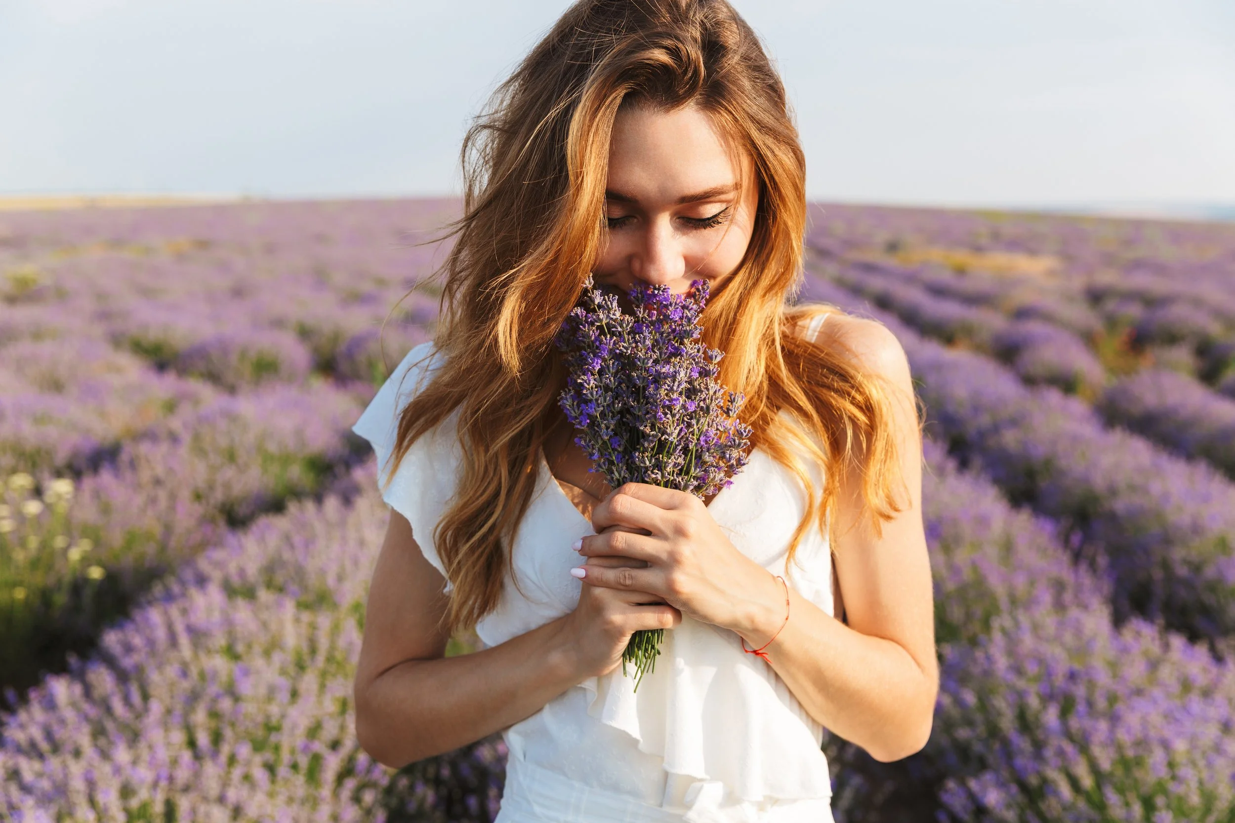 What Lavender Can Do: Aromatherapy, Suggestion &amp; Science
