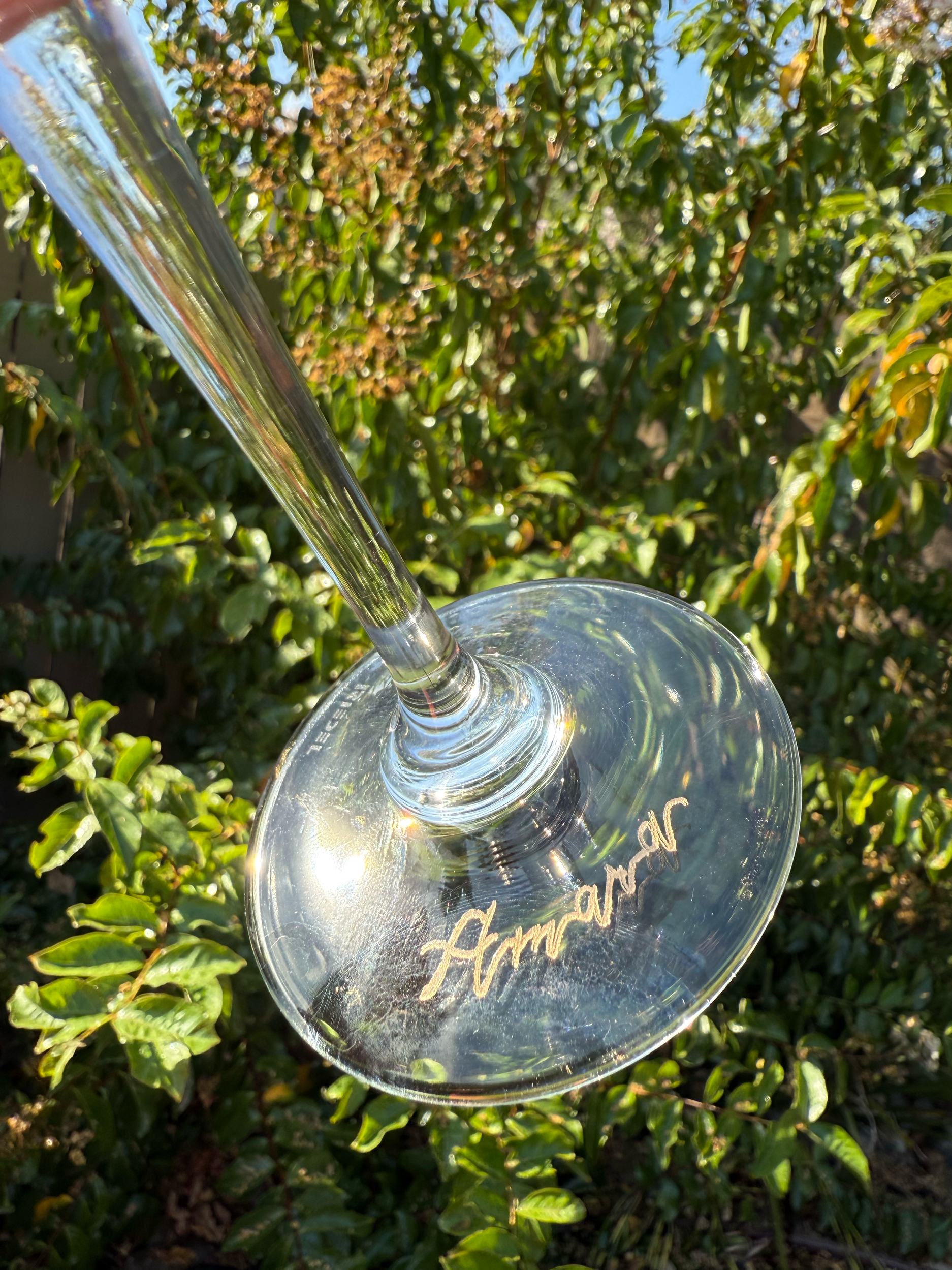 A clear wine glass with the name 'Amara' engraved in gold on the bottom, positioned upside down, with a lush green shrub and blue sky in the background.