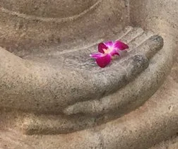 Racial and Social Justice as Dharma Group (Zoom)