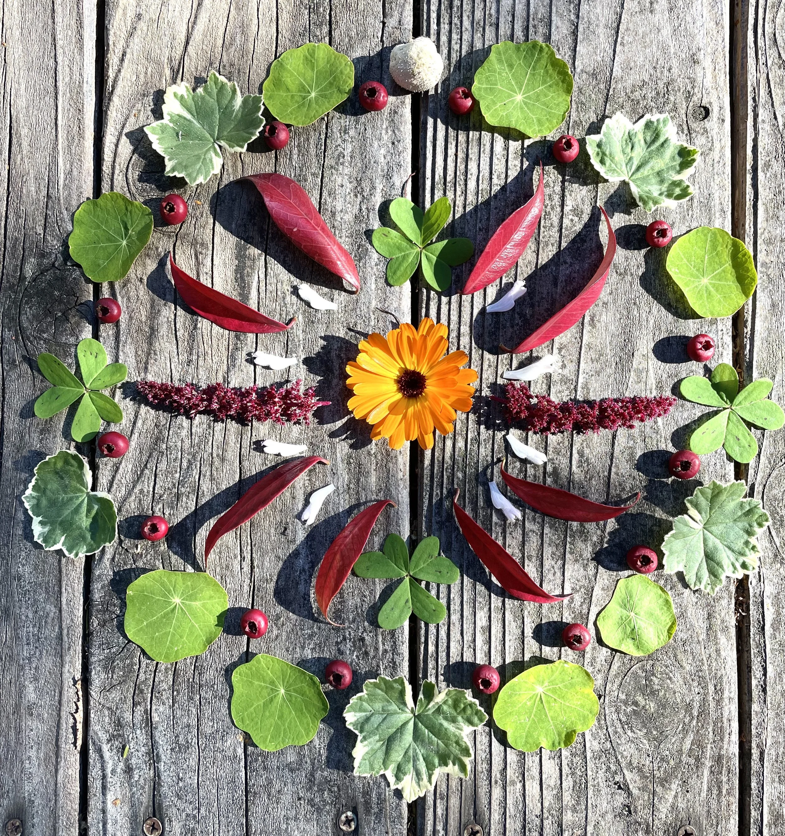 Dharma Heart Zen Weekly Meditation