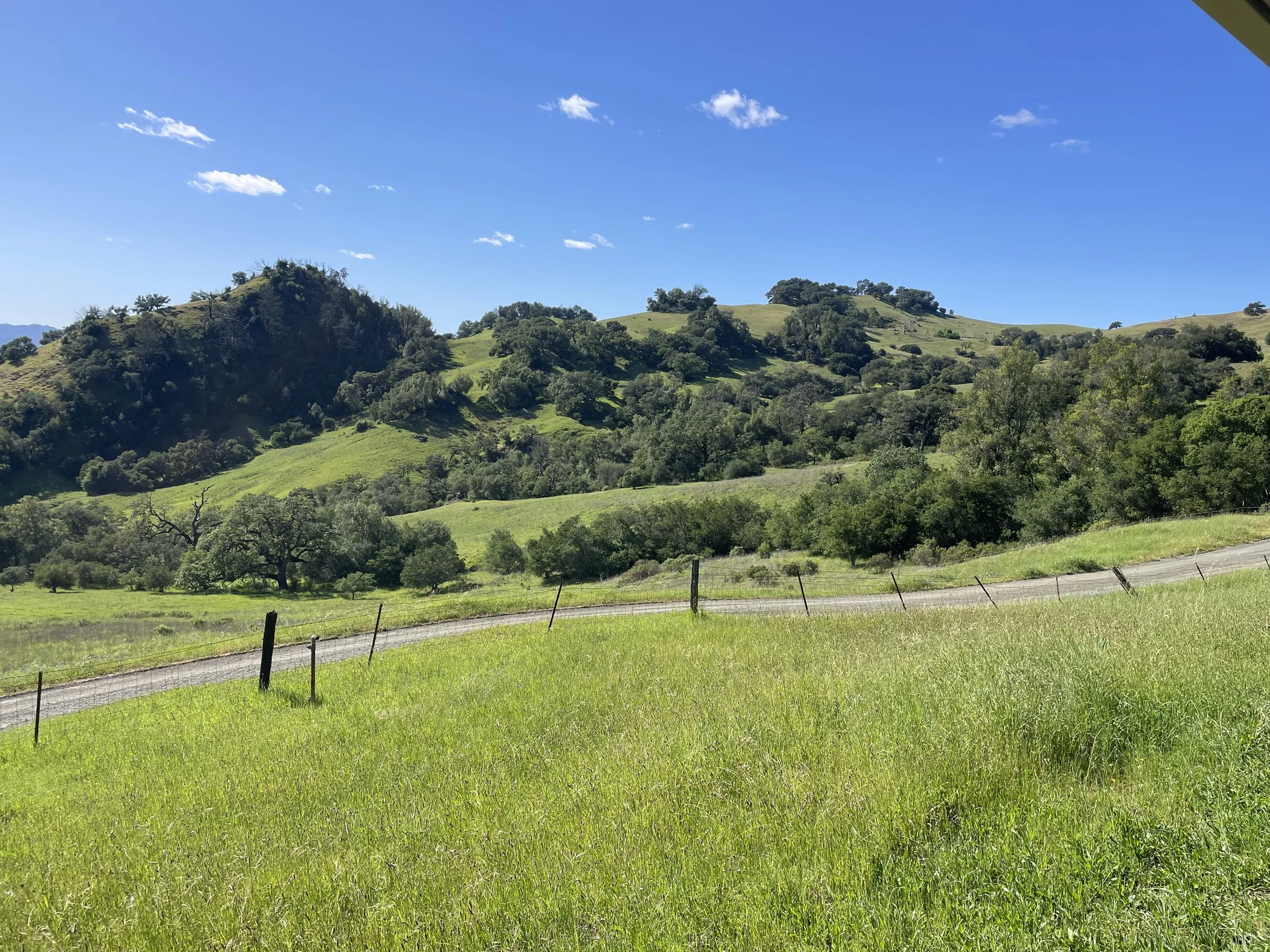 ROAD BELOW BECHTEL HOUSE
