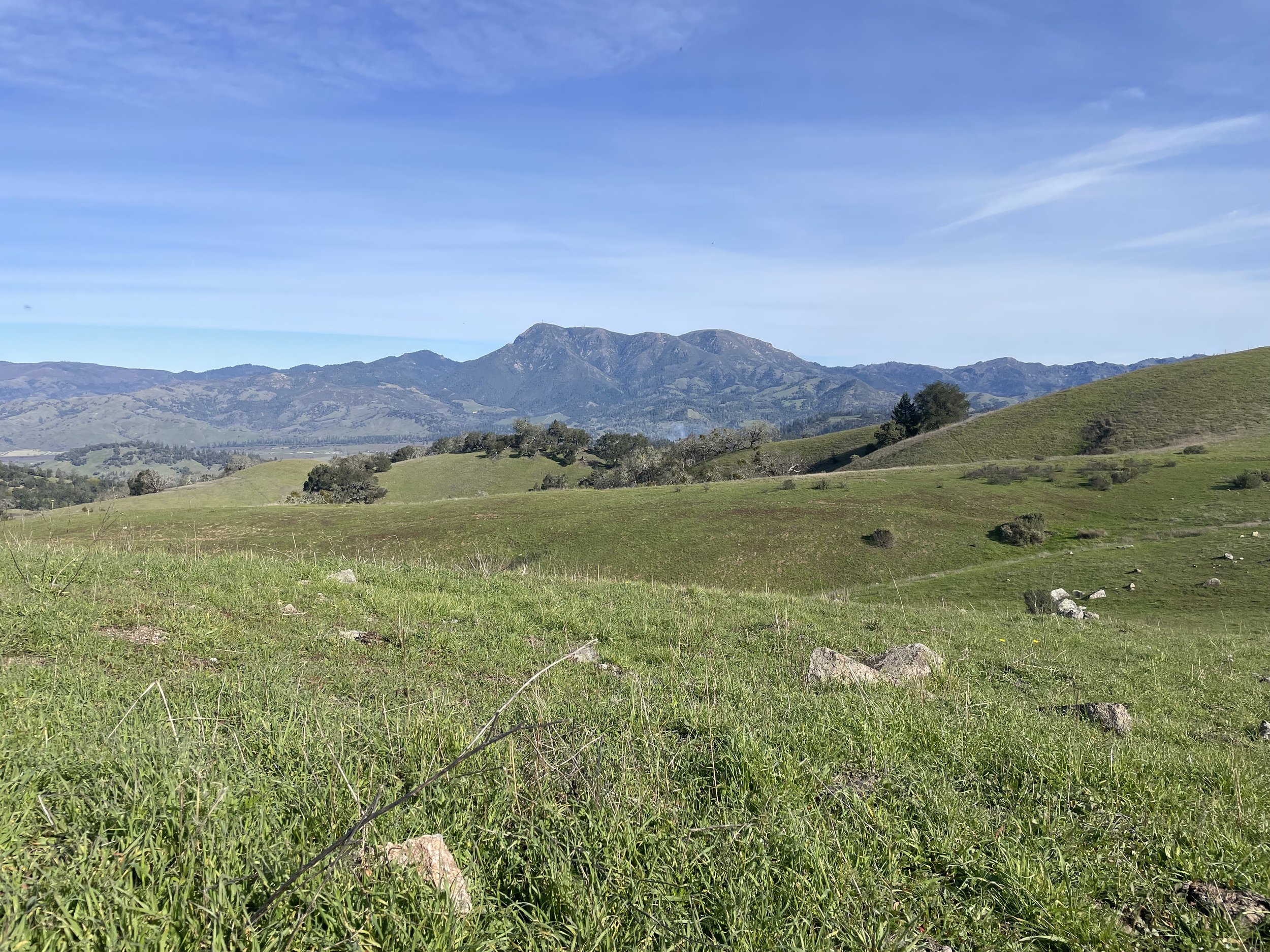 VIEW TO THE EAST OF MT. ST. HELENA, KANAMOTA - WAPPO NAME