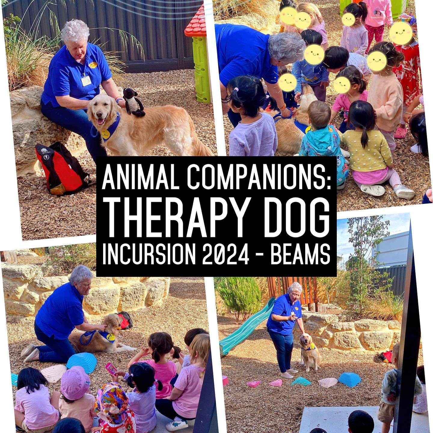 Special thanks to Linda and her golden retriever Henri 🐕 for coming to Beams Early Learning centre today.

The children learnt all about therapy dogs and what they do for the community.