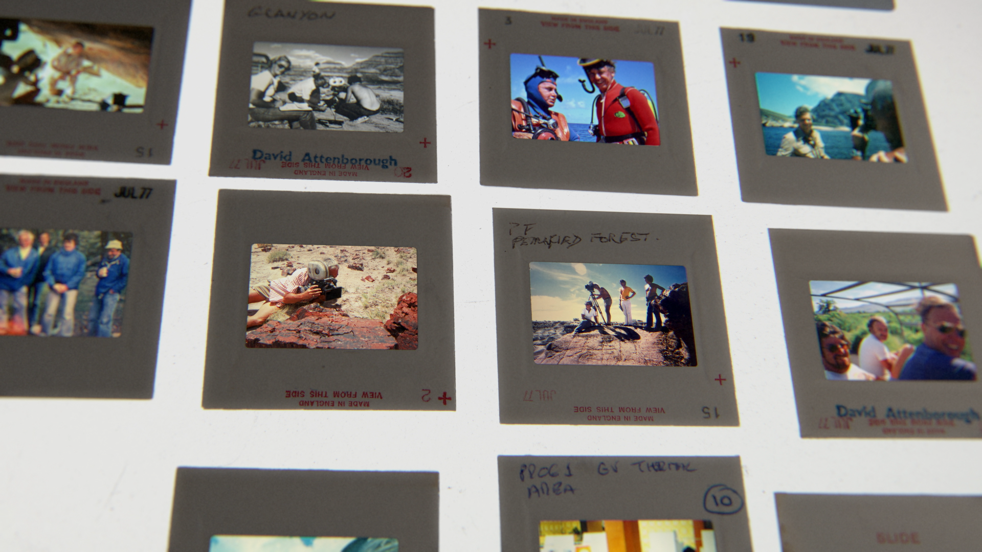 Untitled Project_LEF_010_000_v026_2026-01-29_16.40.22.png