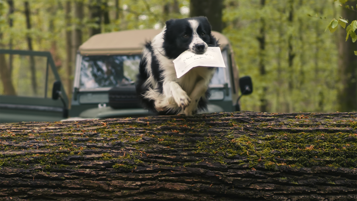 dog_final.png