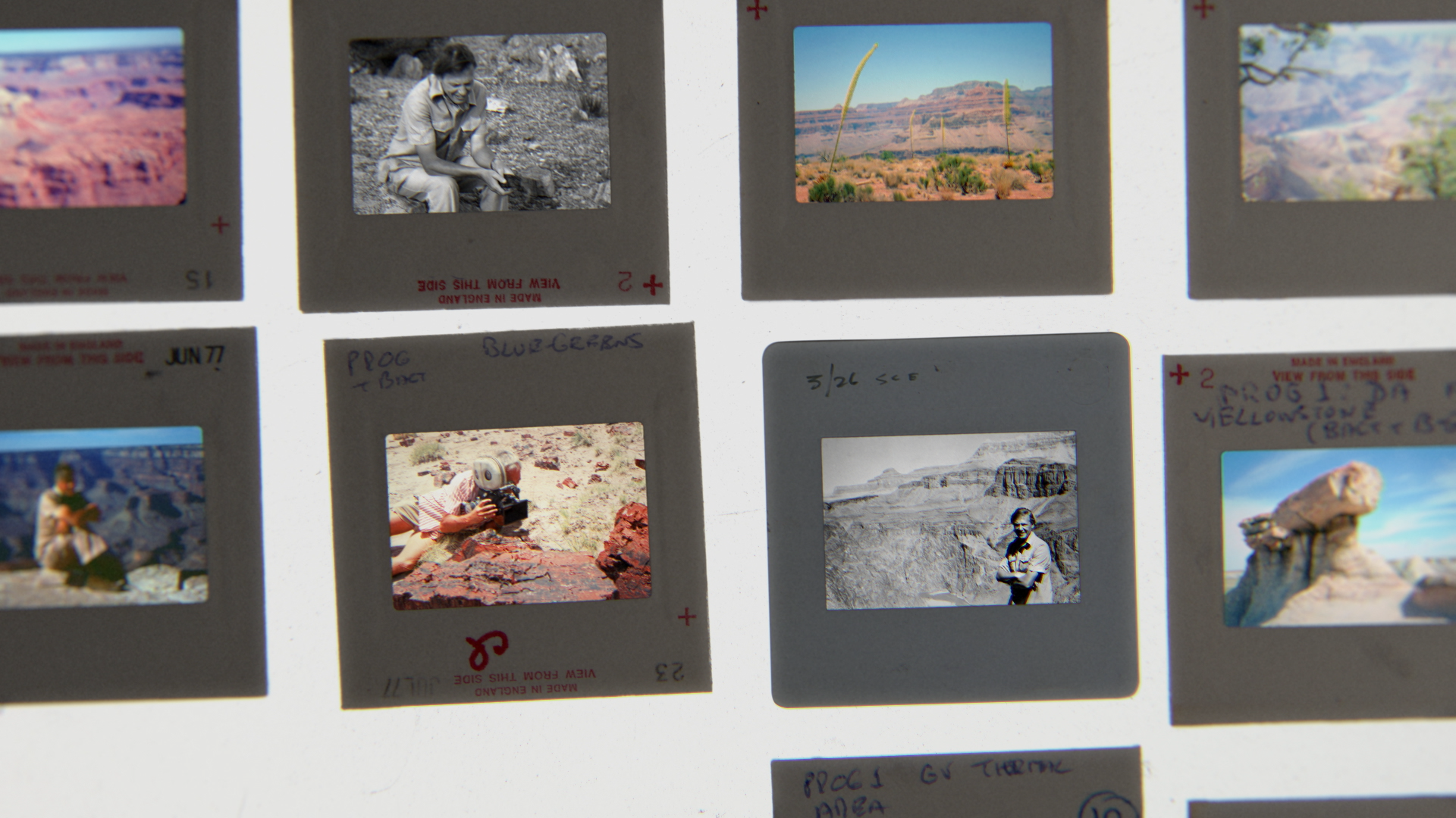 Untitled Project_LEF_010_000_v026_2026-01-29_16.41.44.png