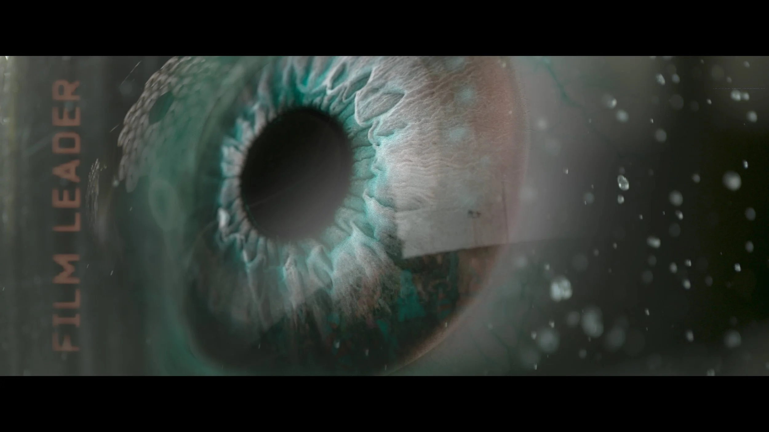 The Surgeon's Cut — Lux Aeterna VFX