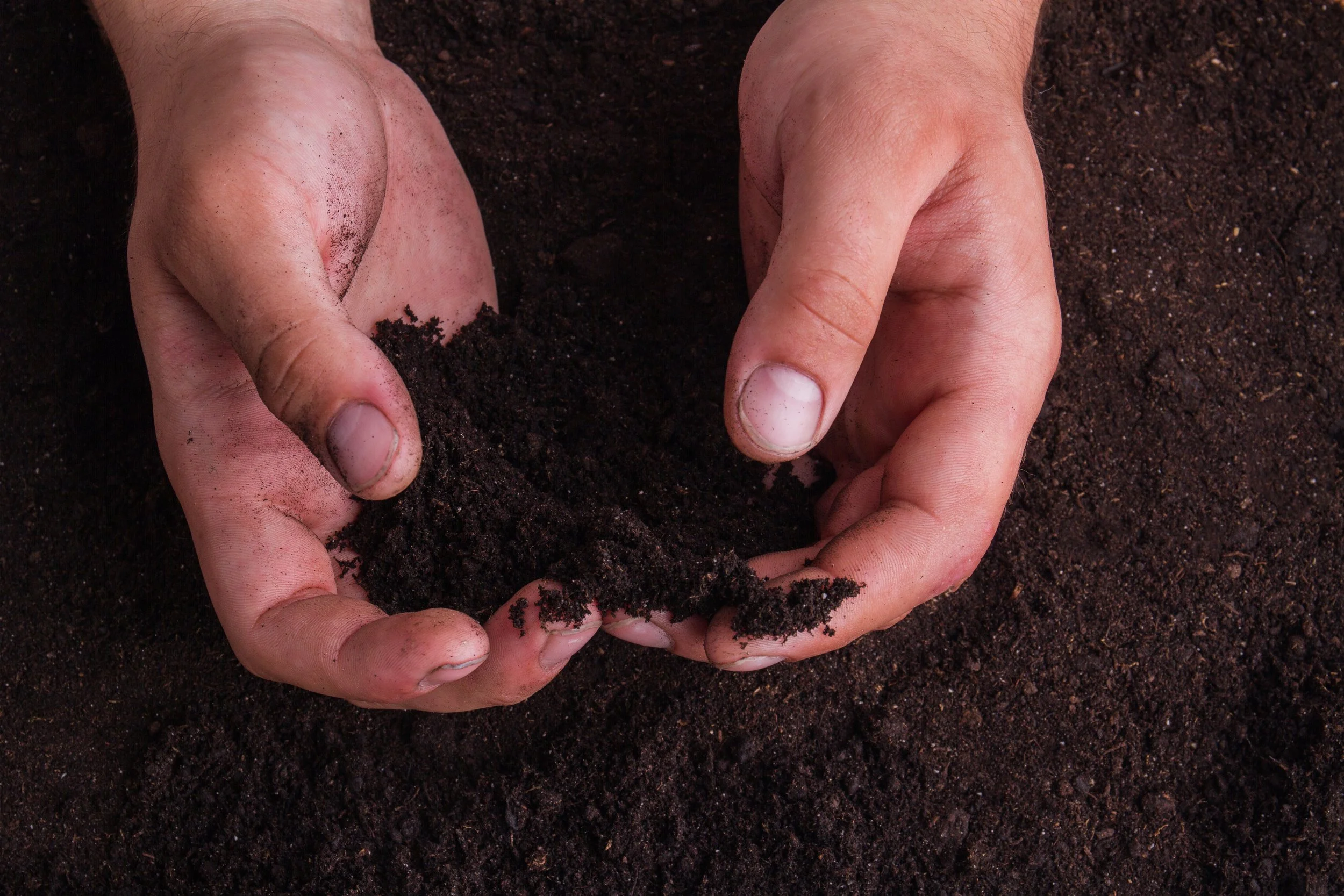 Biochar A sustainable approach to improve soil health — Jord AB