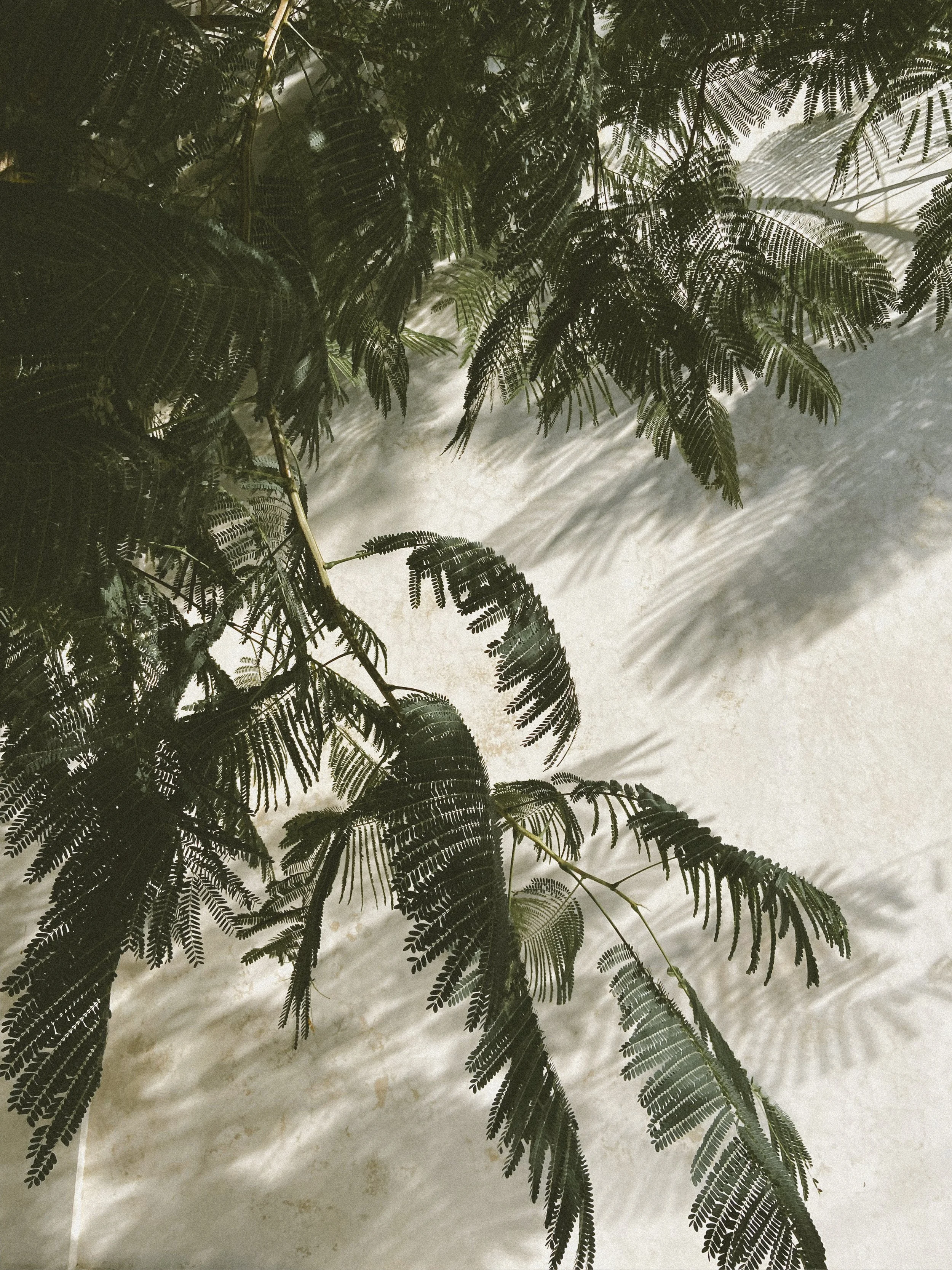 BRANDING &amp; Business Consulting