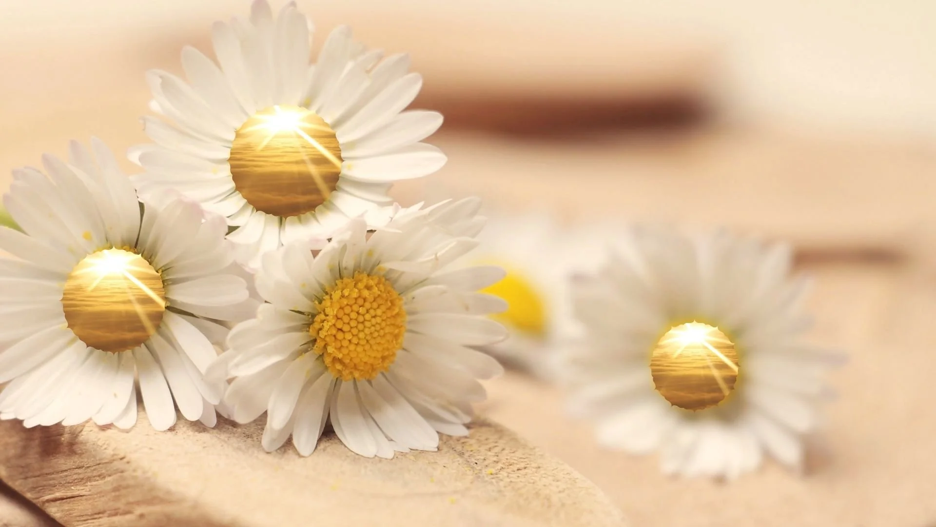 #azi de azi  #centrare #meditatie #pace interioara