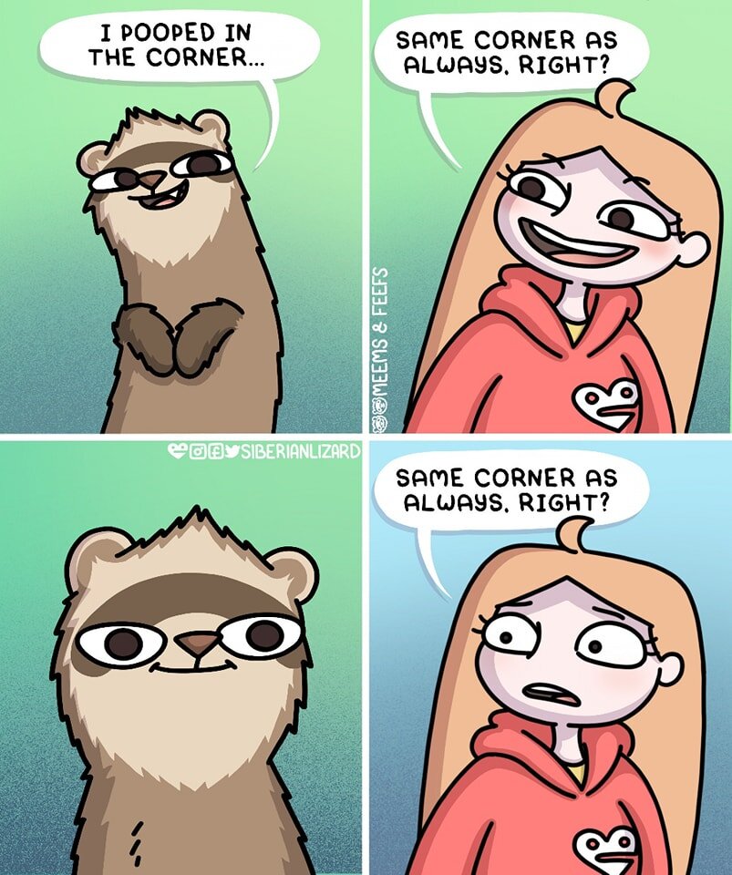 This one is based on a meme...
May the fourth be with you!
.
.
#meme #indiecomics #ferret  #starwars #maythe4thbewithyou #maythefourthbewithyou