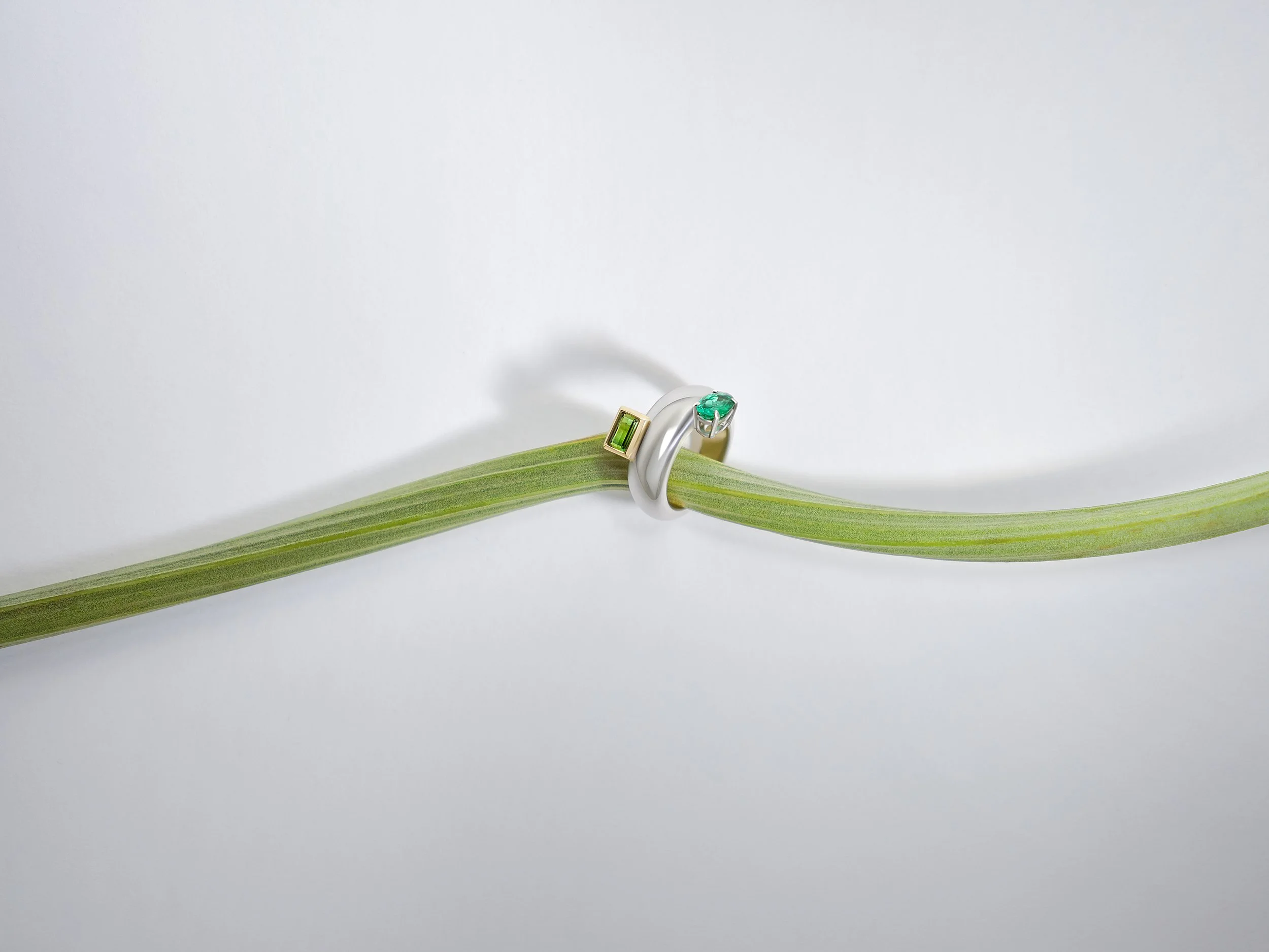 The Encounter Ring with Emerald and Tourmaline.jpg