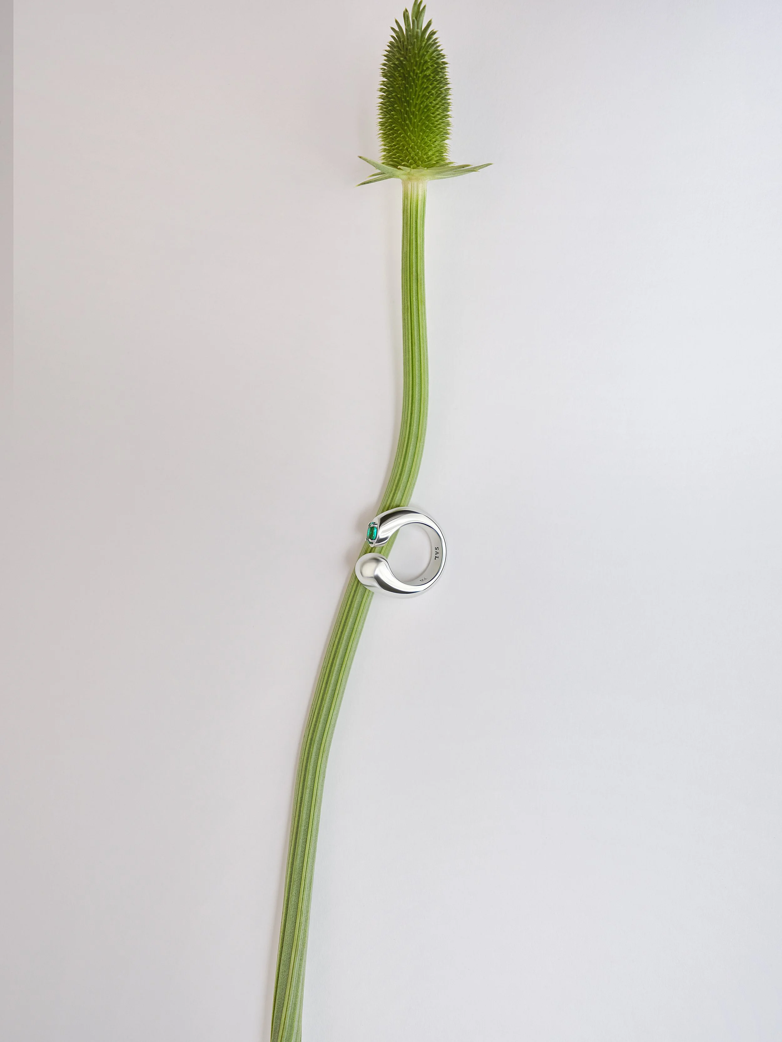 The Statement Ring with Emerald.jpg