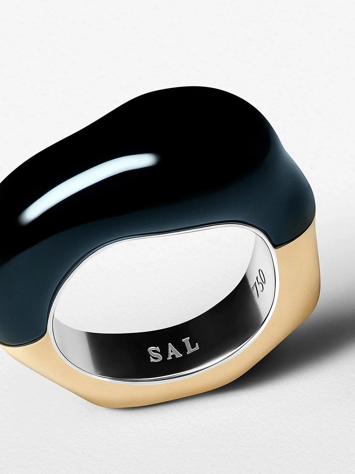 The Sculpted Ring