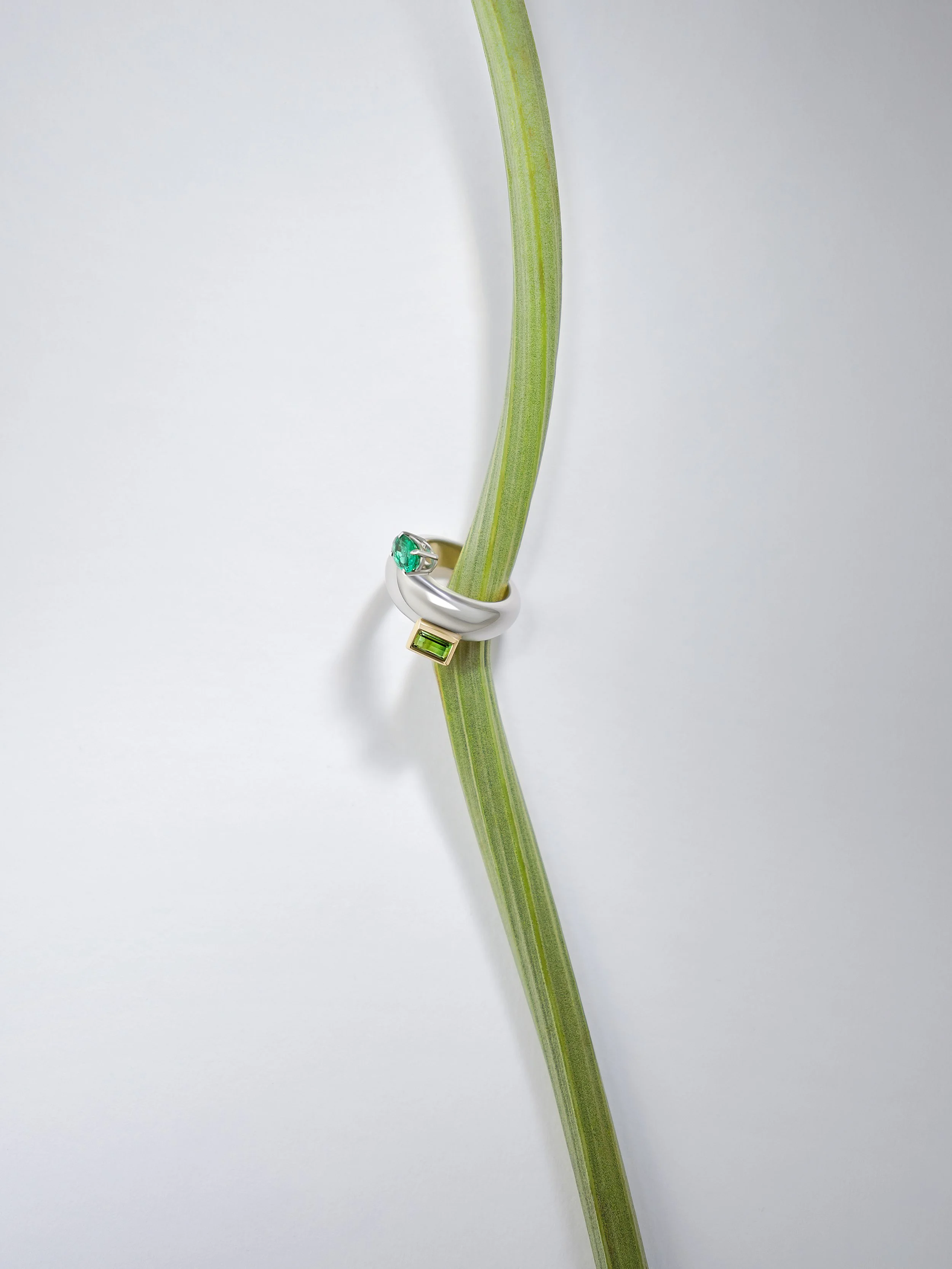 The Encounter Ring with Emerald and Tourmaline_2.jpg